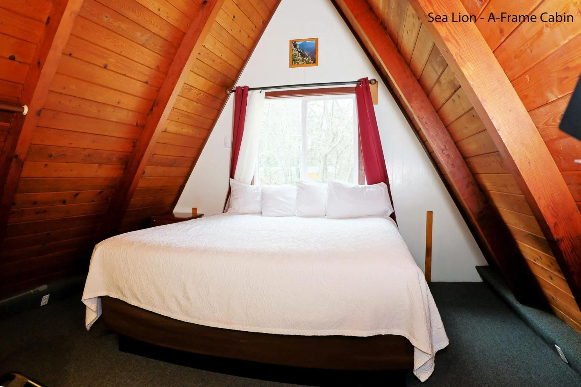 Bed in Park Motel and Cabins