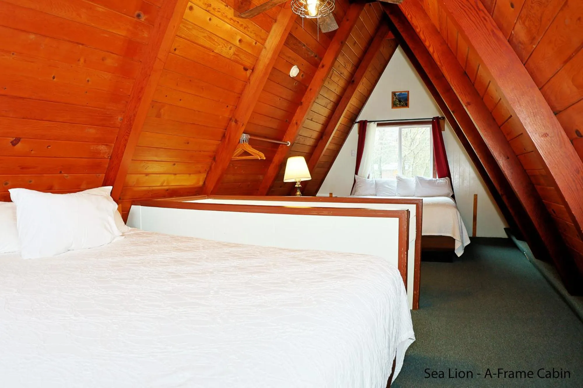 Bed in Park Motel and Cabins