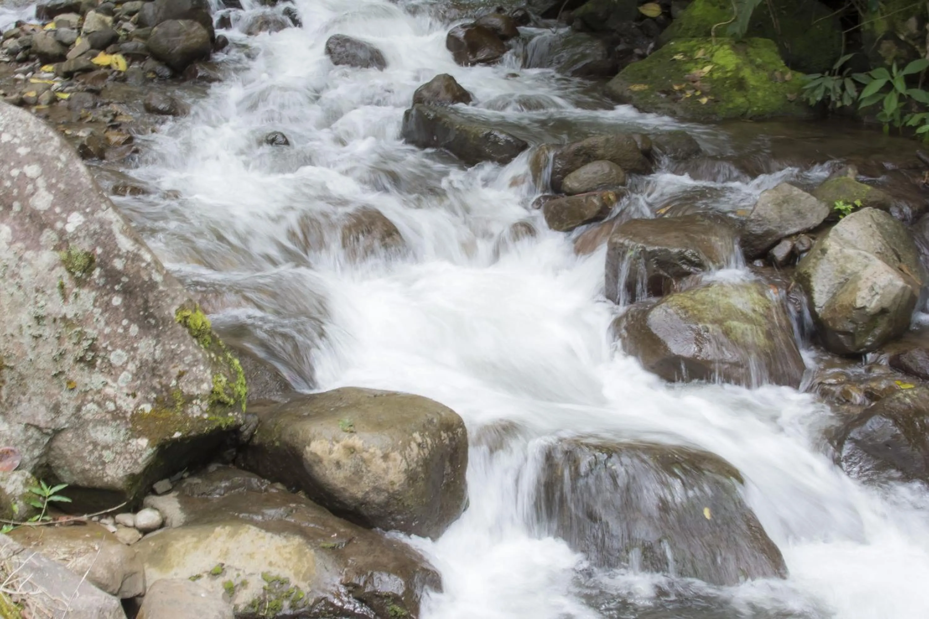 Facade/entrance in Bosque de Paz Reserva Biologica