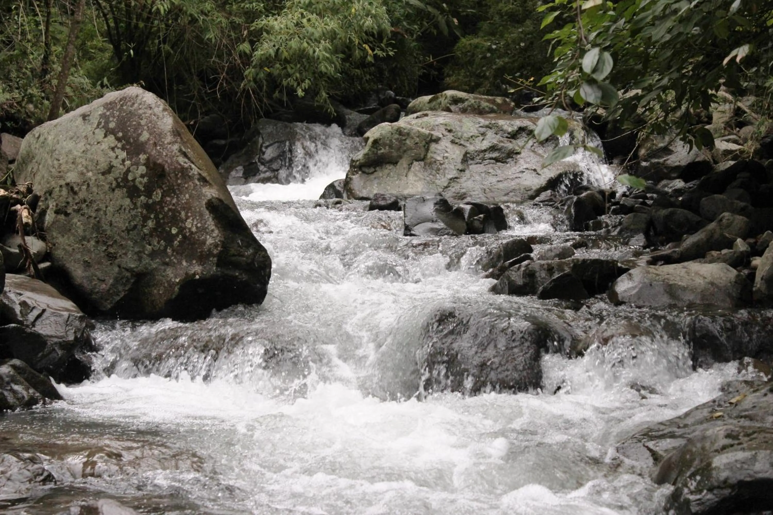 Area and facilities in Bosque de Paz Reserva Biologica