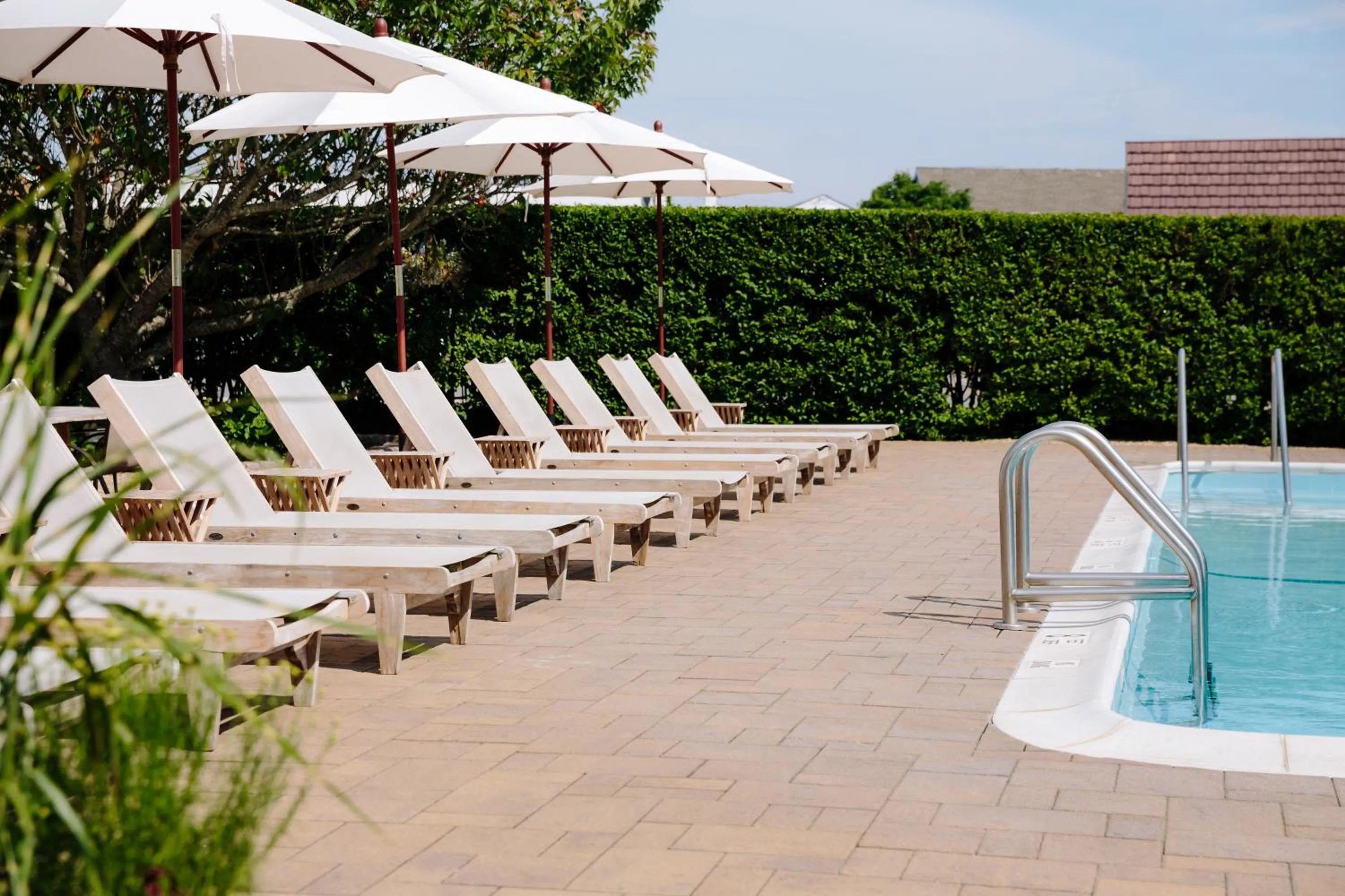 Daunts Albatross Motel