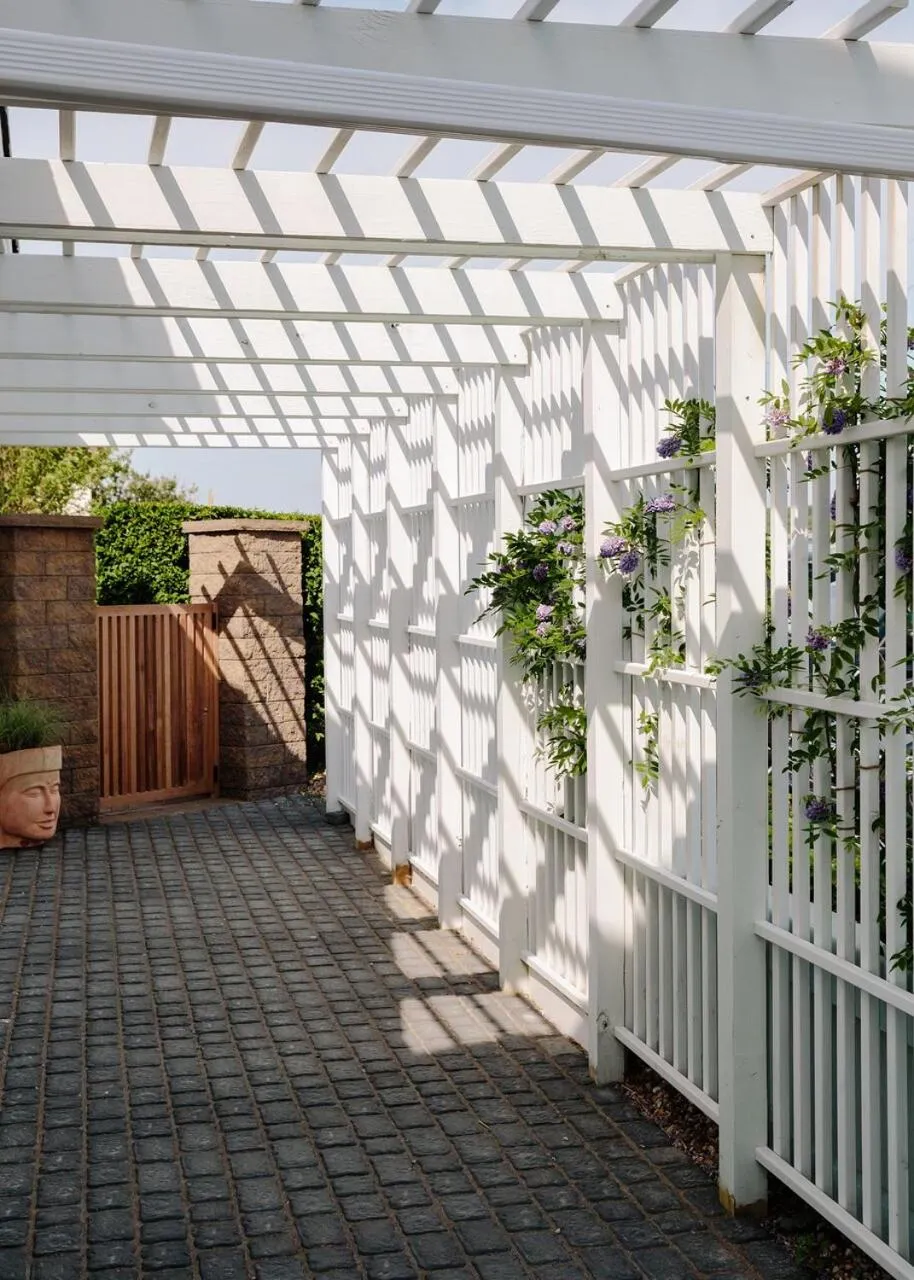 Daunts Albatross Motel