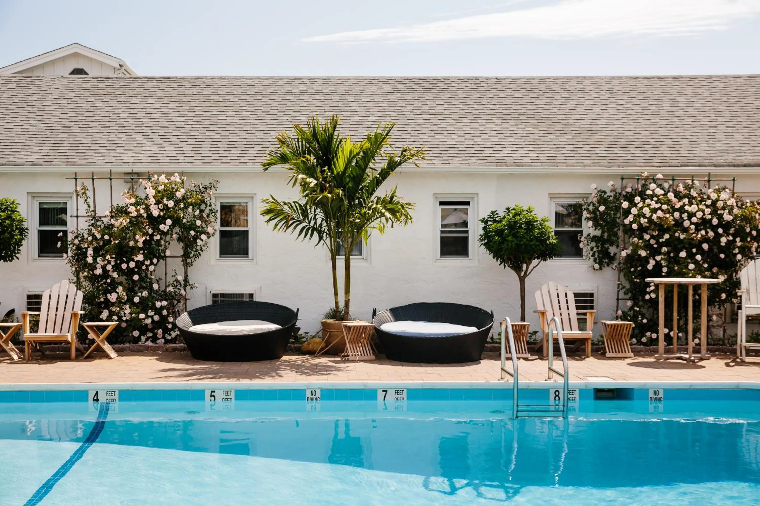 Daunts Albatross Motel