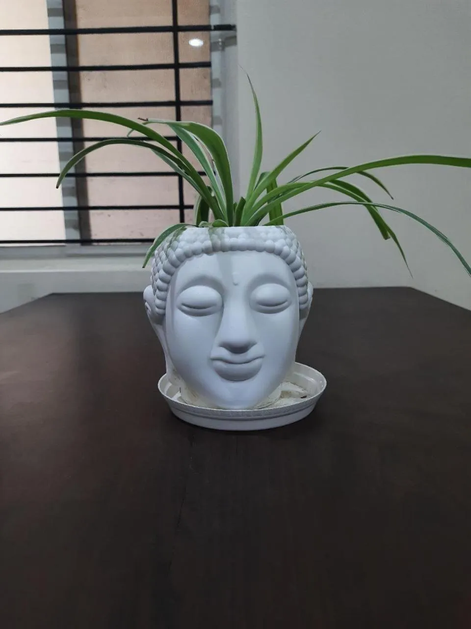 Staeg Heart of City 2BHK 201