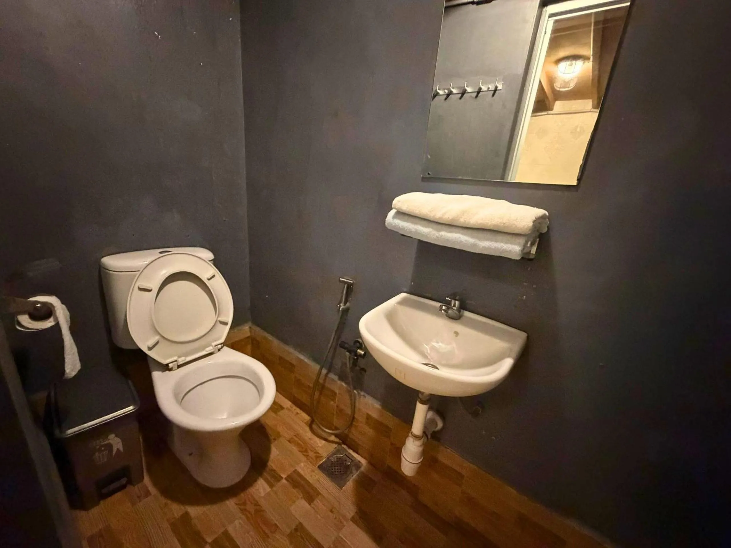 Toilet in Dou Houz Georgetown