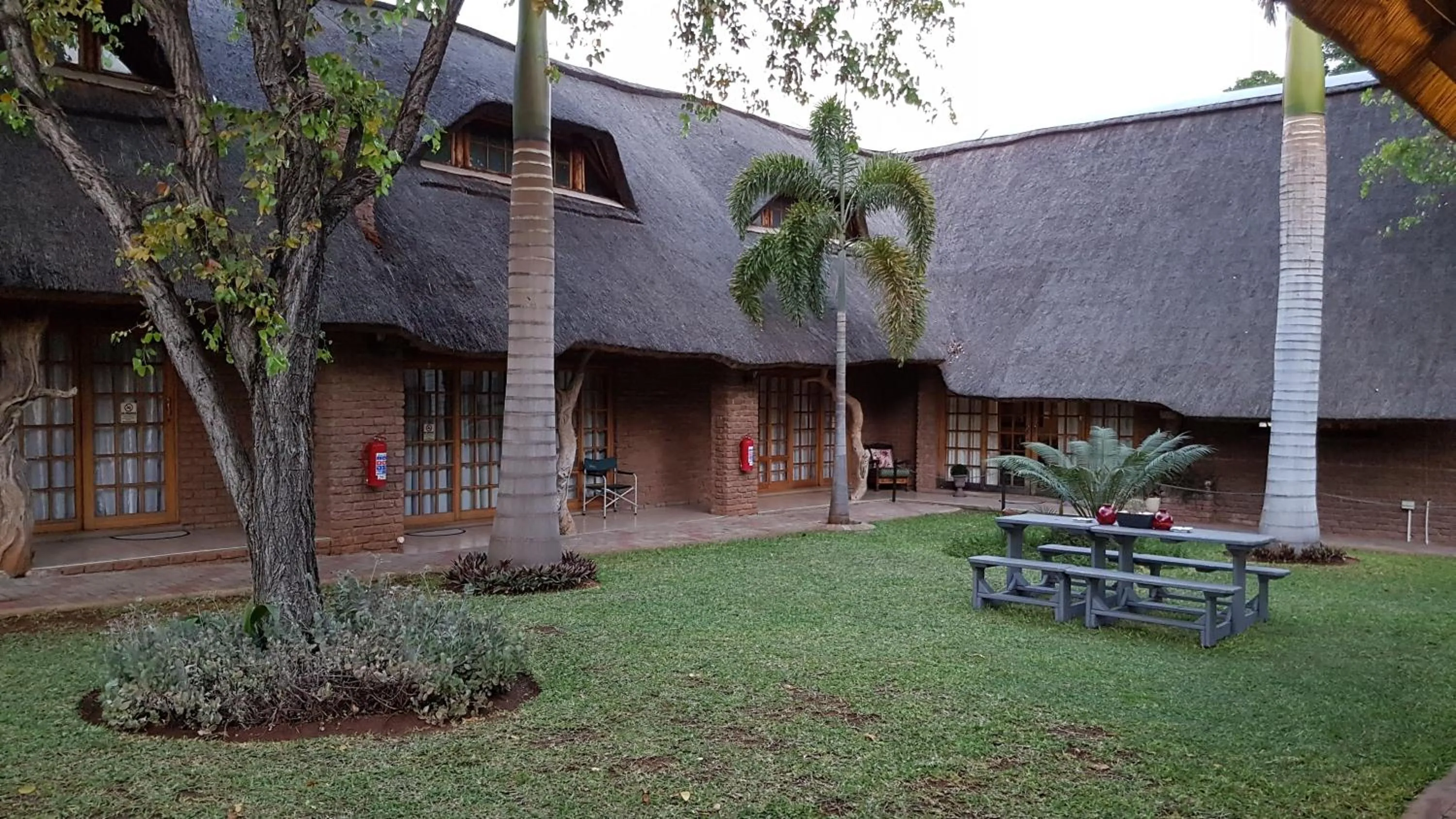 Garden in Siesta Guest House