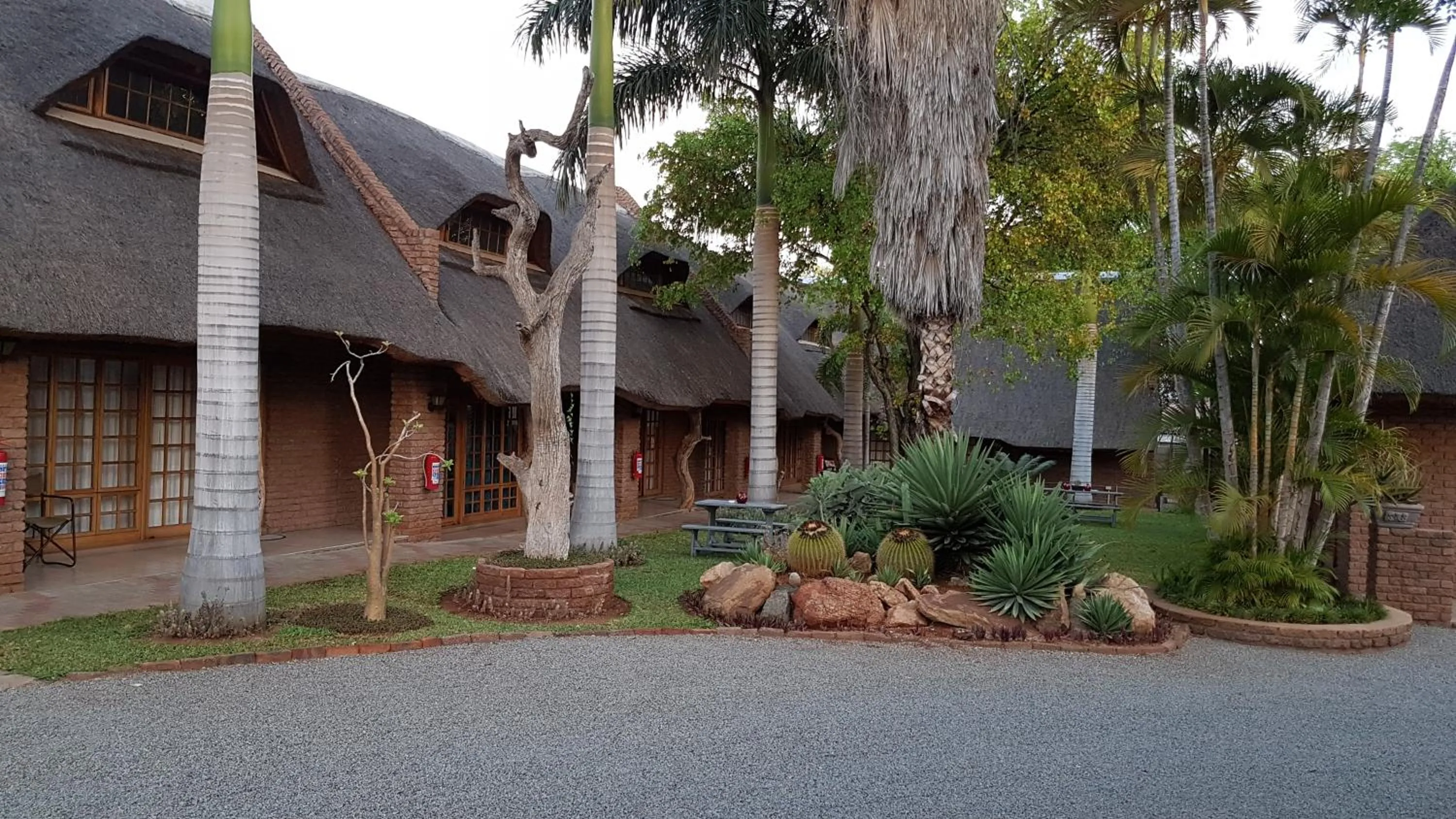 Garden view in Siesta Guest House