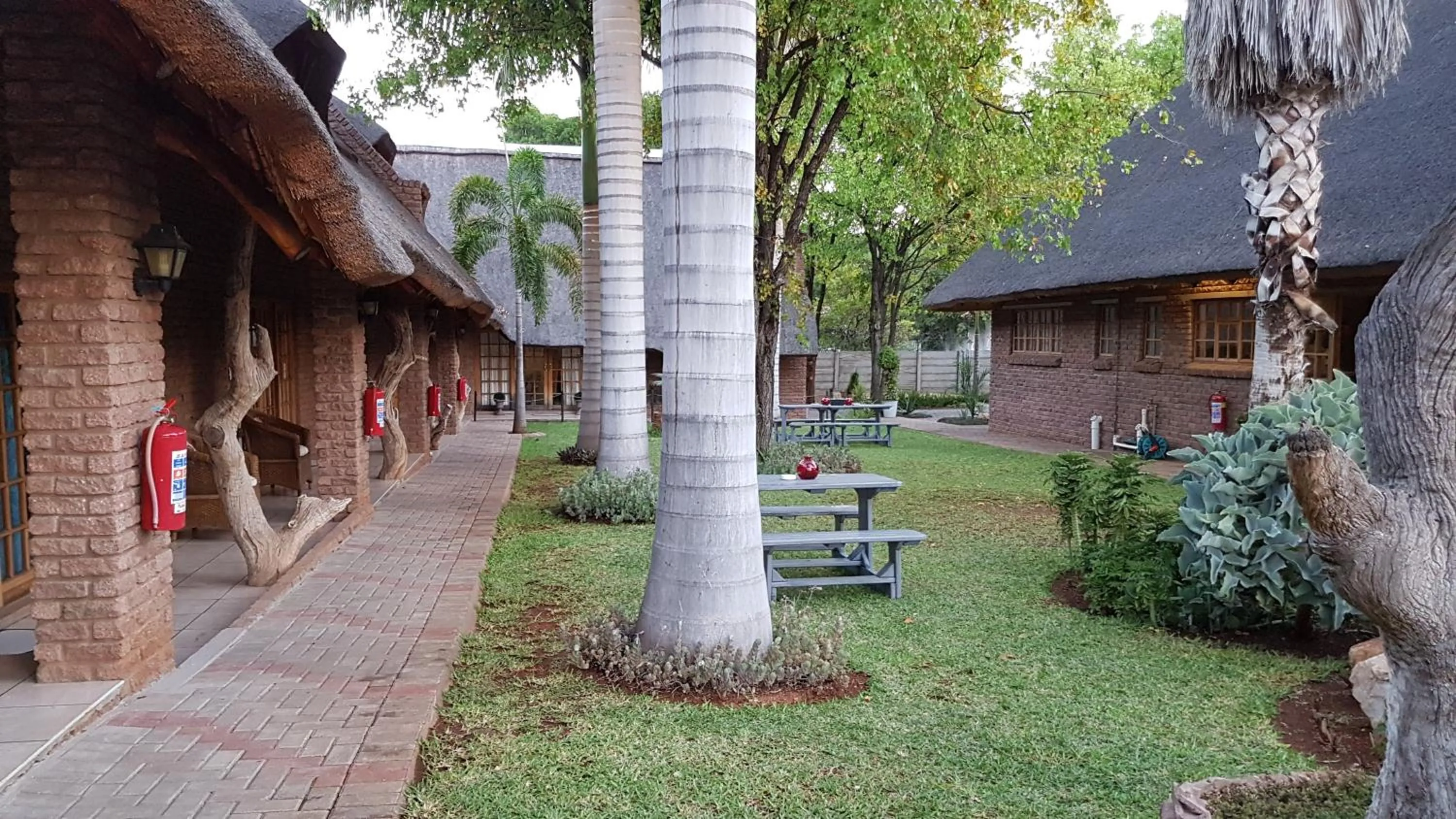 Garden in Siesta Guest House