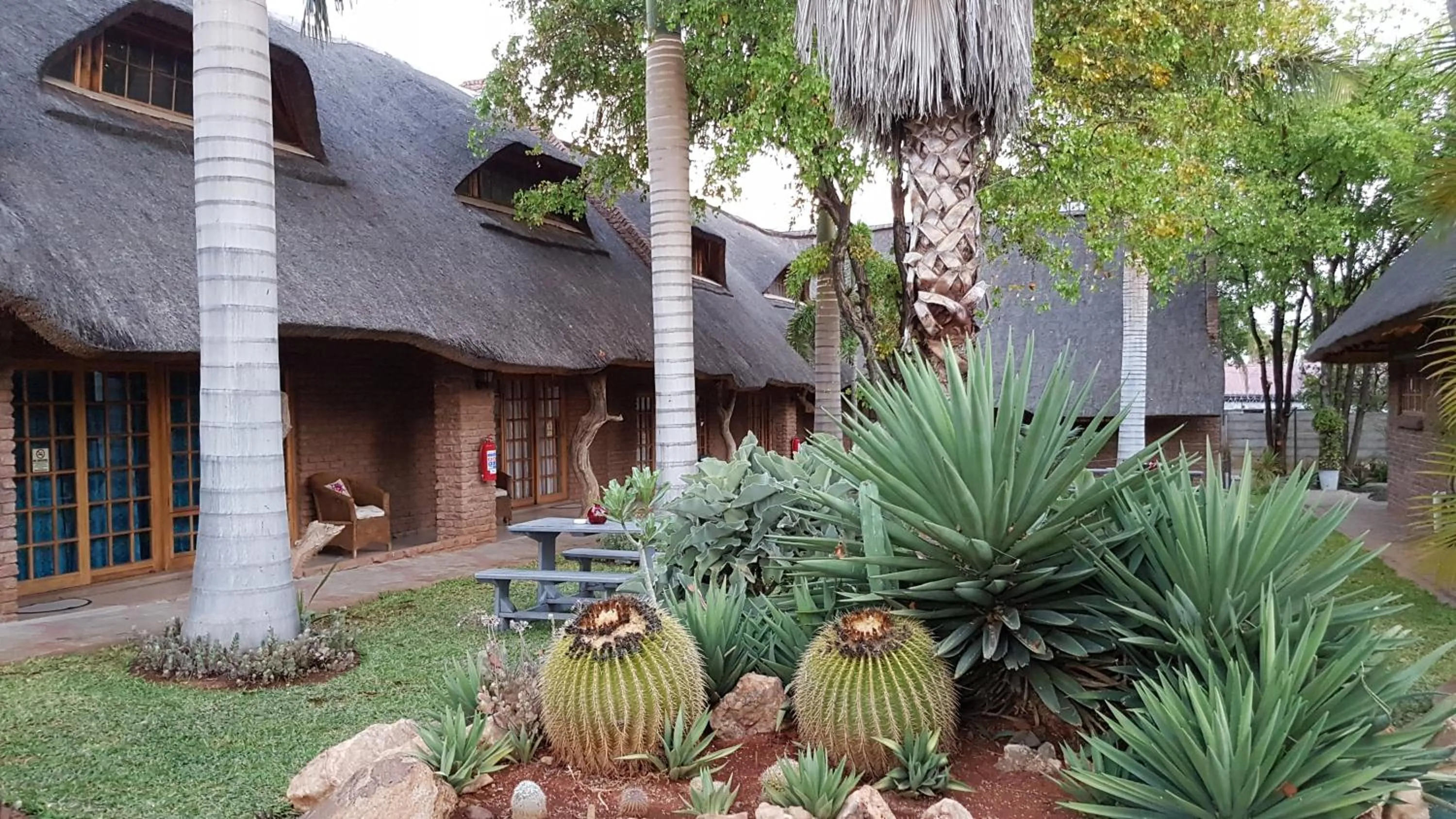 Garden in Siesta Guest House