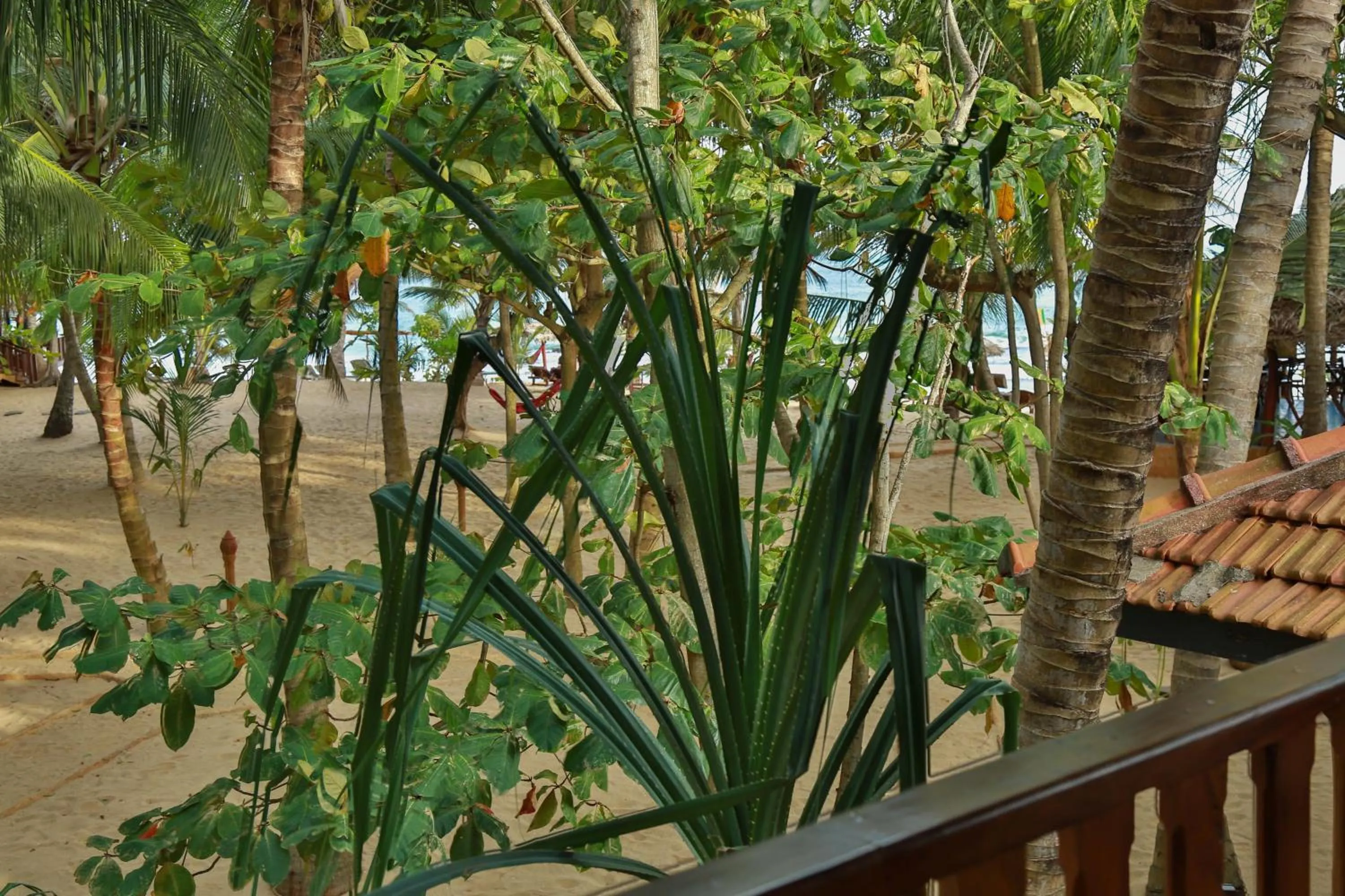 Beach in Ganesh Garden Beach Cabanas