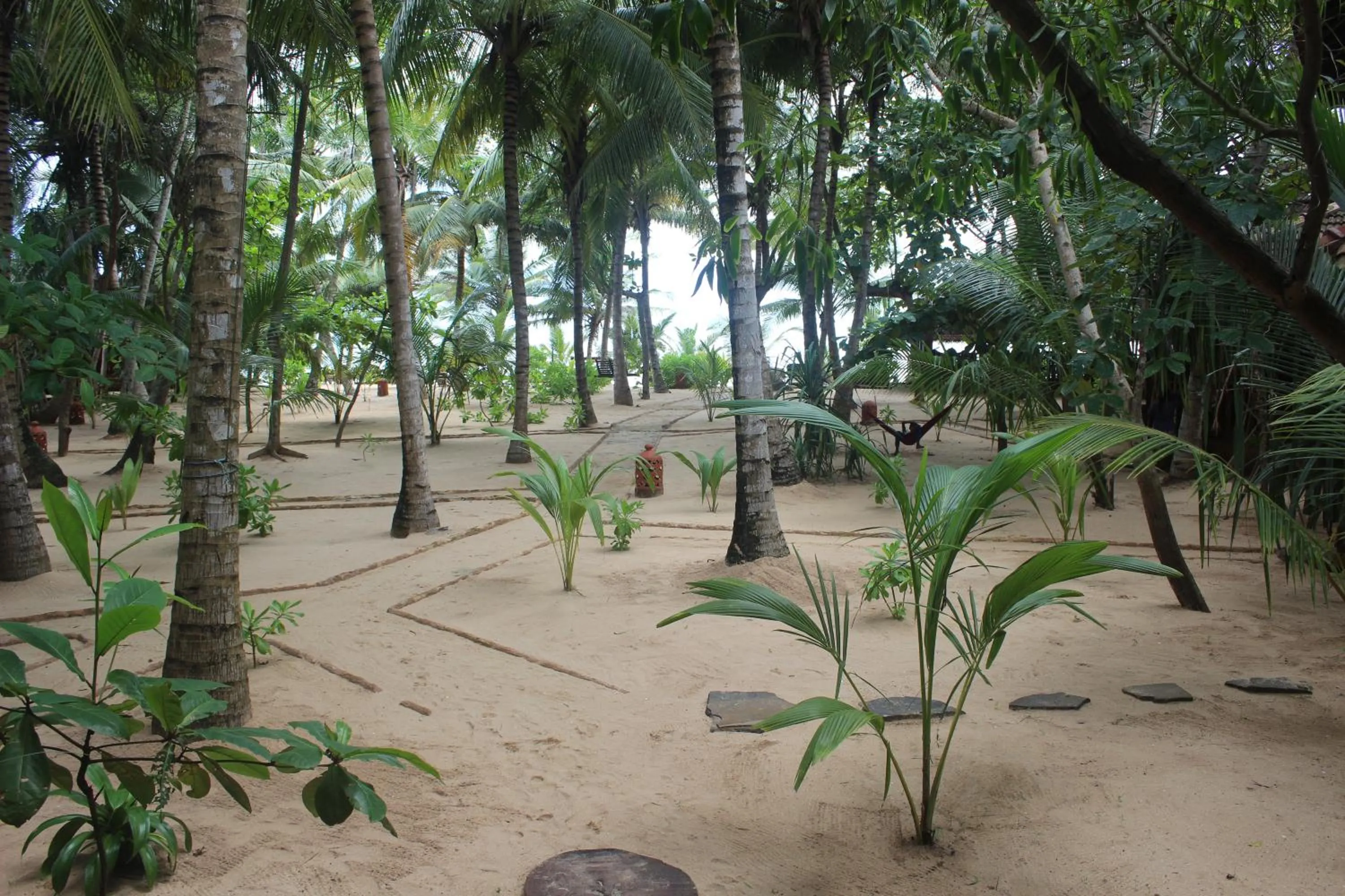 Garden view in Ganesh Garden Beach Cabanas