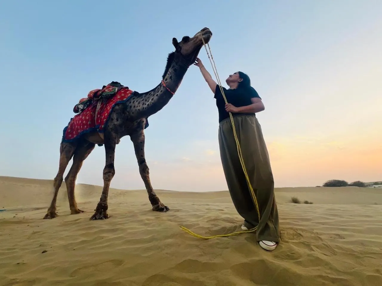 Animals in Hostalagic