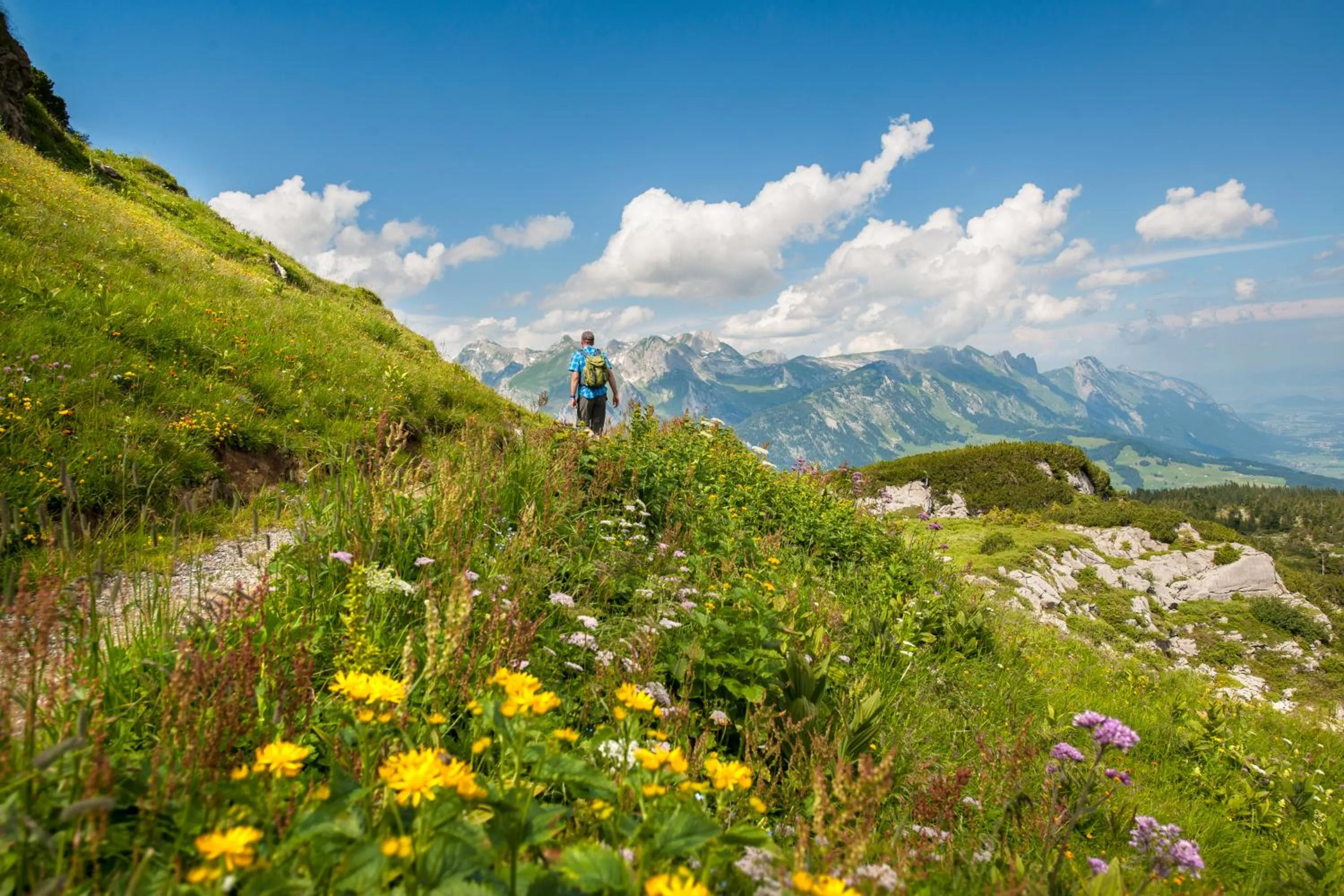 Summer in Berggasthaus Oberdorf
