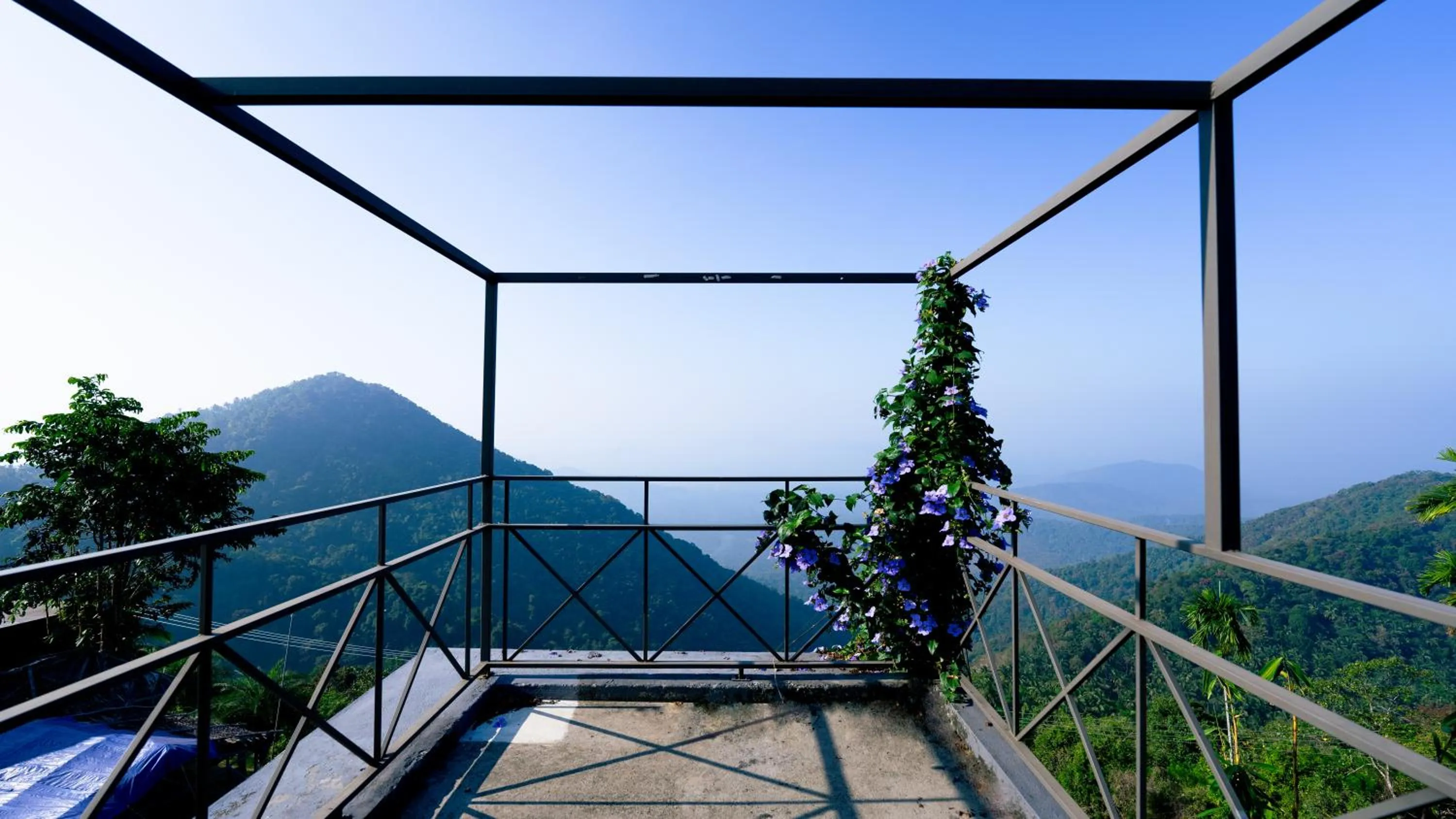 View (from property/room) in Vayalada View Point Resort