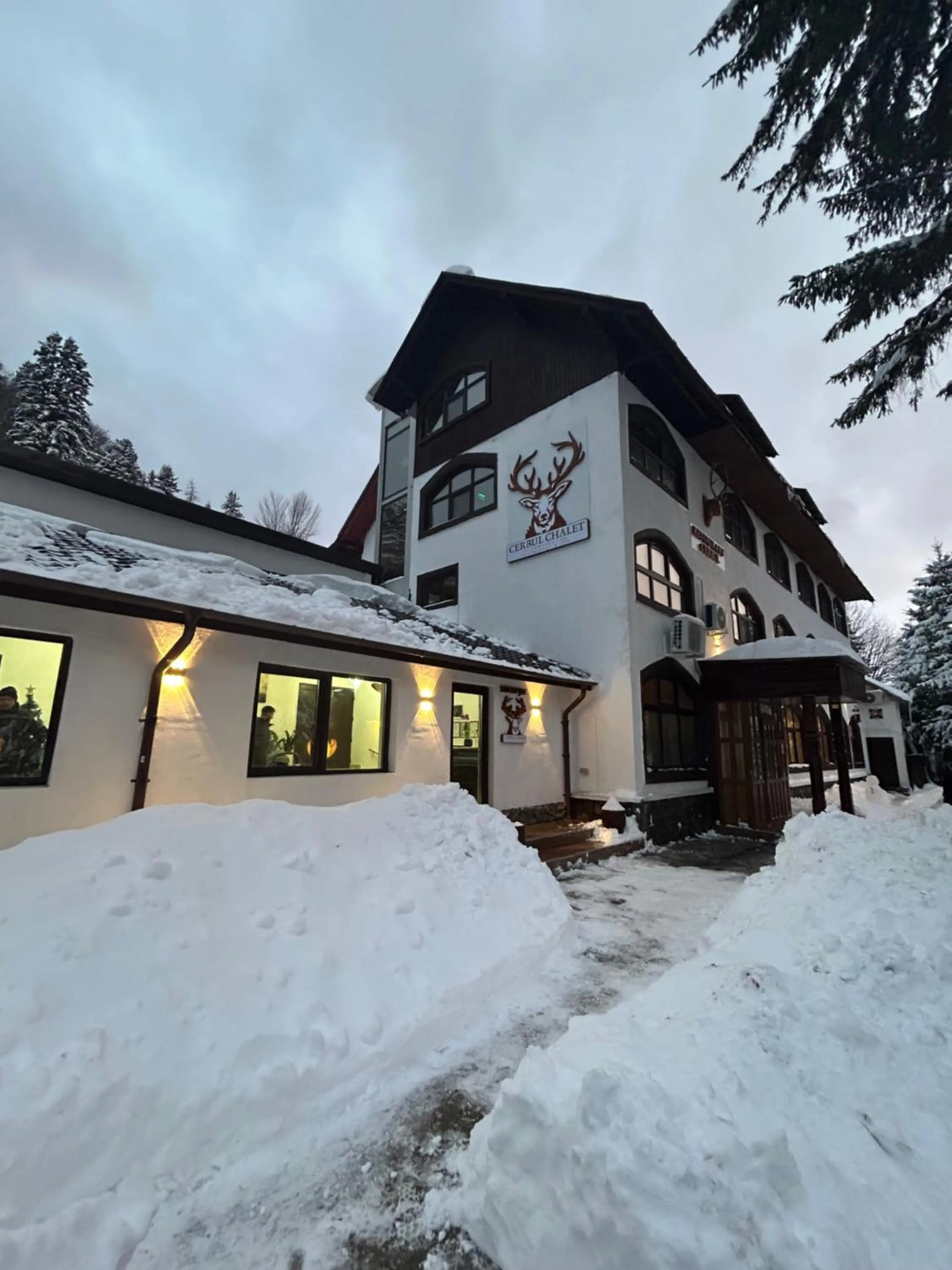 Property building in Cerbul Chalét Accommodation & Wellness