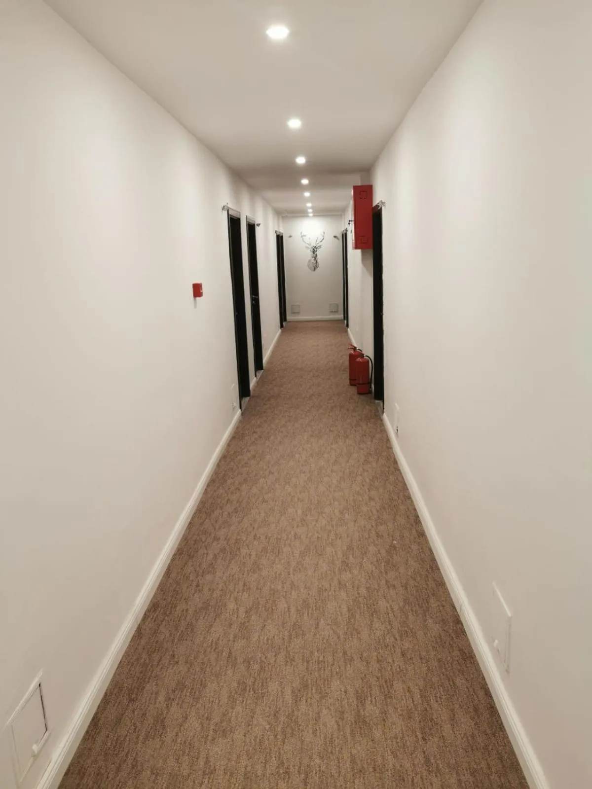 Lobby or reception in Cerbul Chalét Accommodation & Wellness