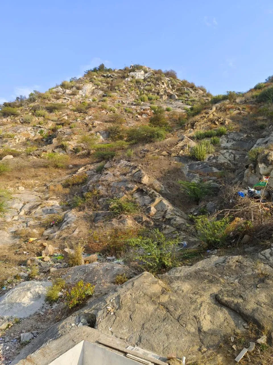 Day in Jawai Rock Hotel