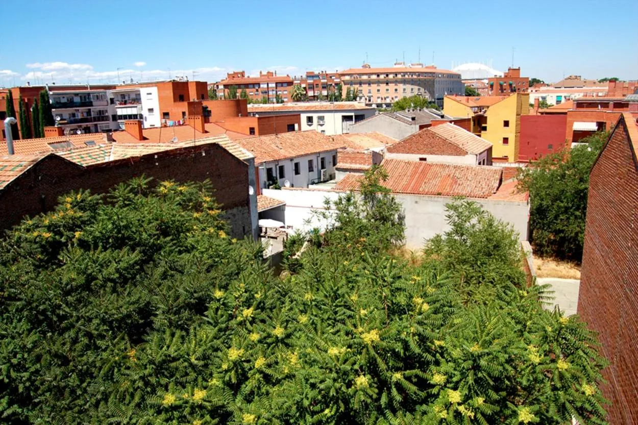 Neighbourhood in Apartamentos Cinco Rosas