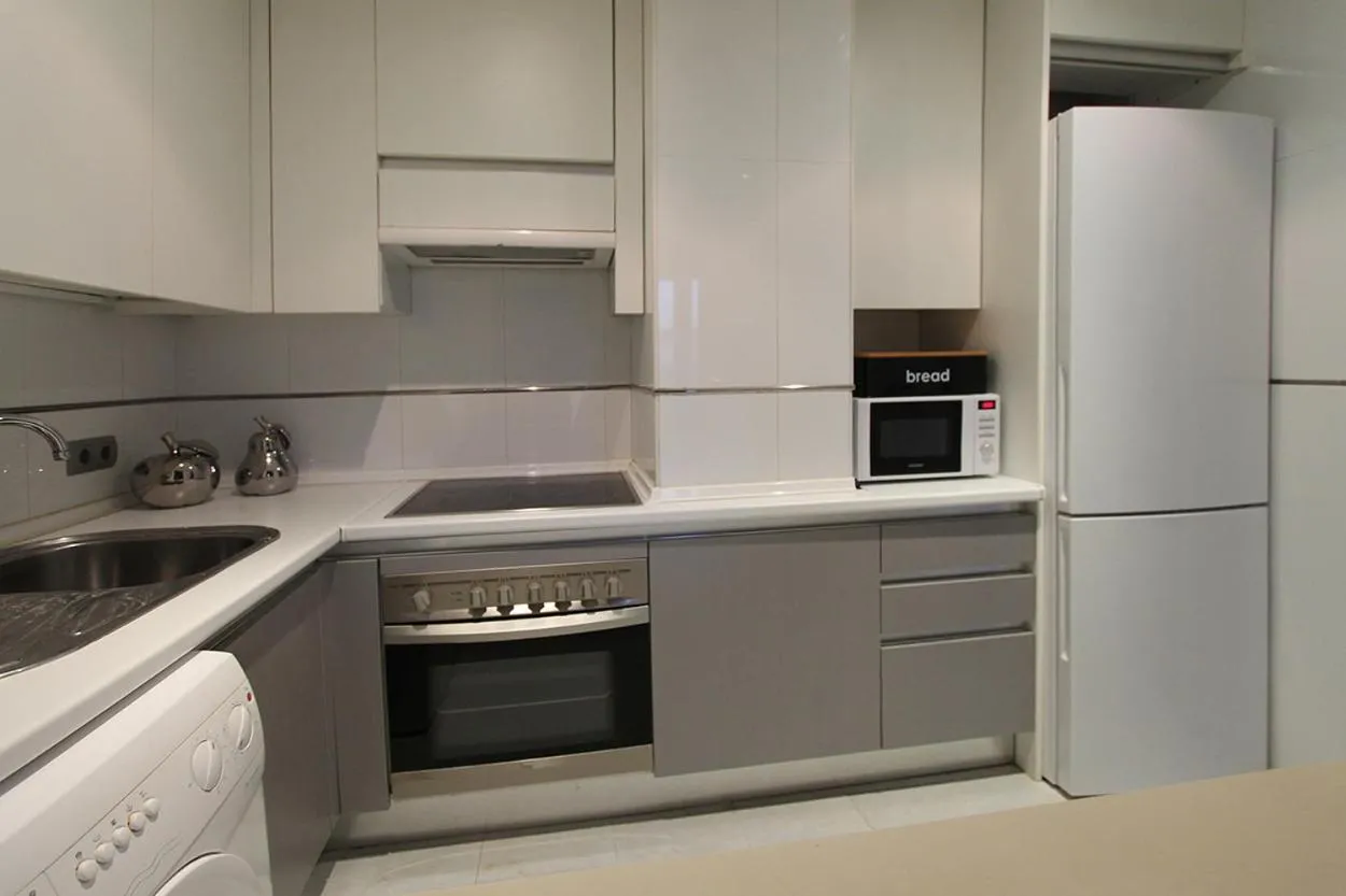 Kitchen or kitchenette in Apartamentos Cinco Rosas