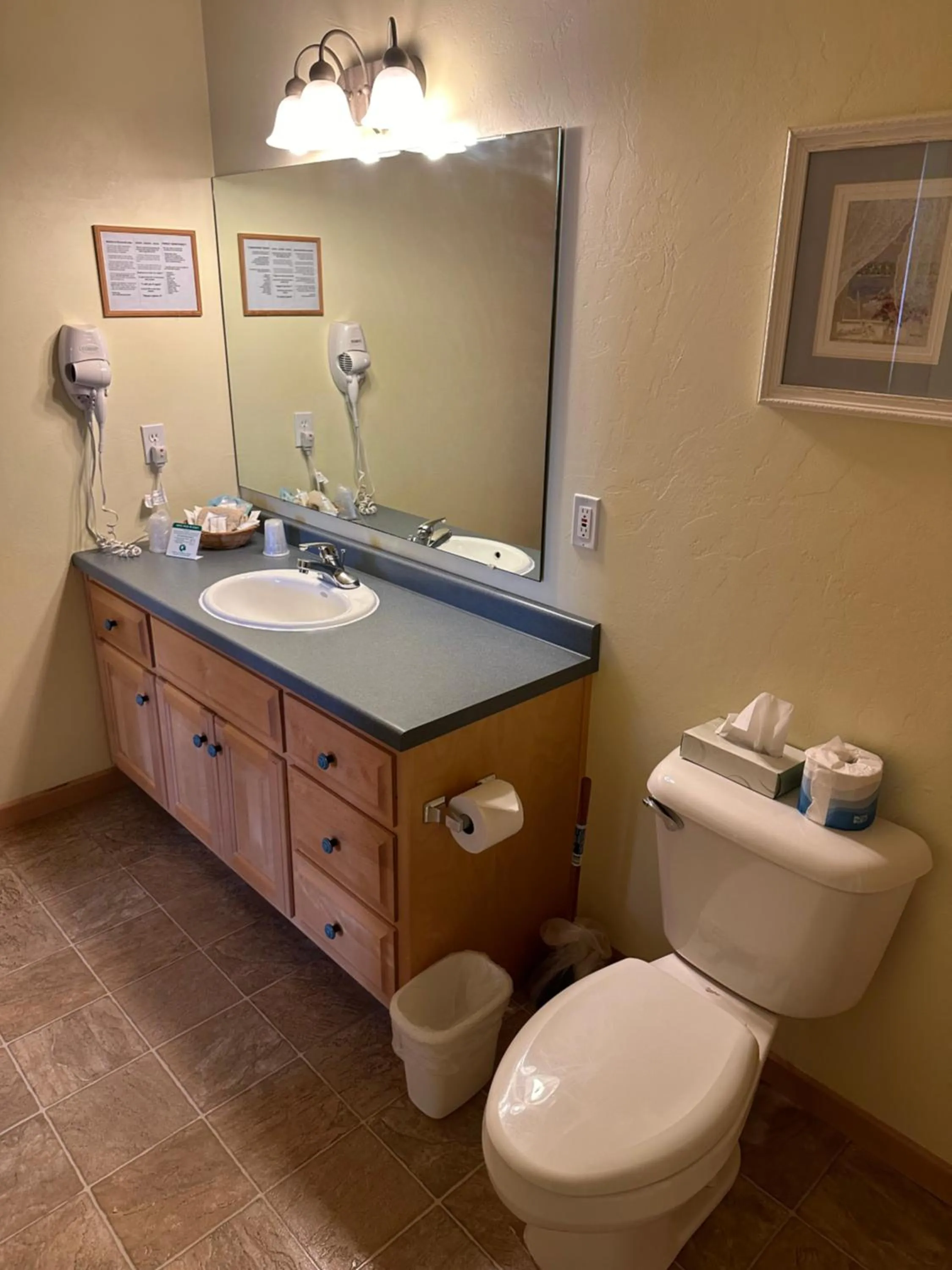 Toilet in Birchwood Lodge