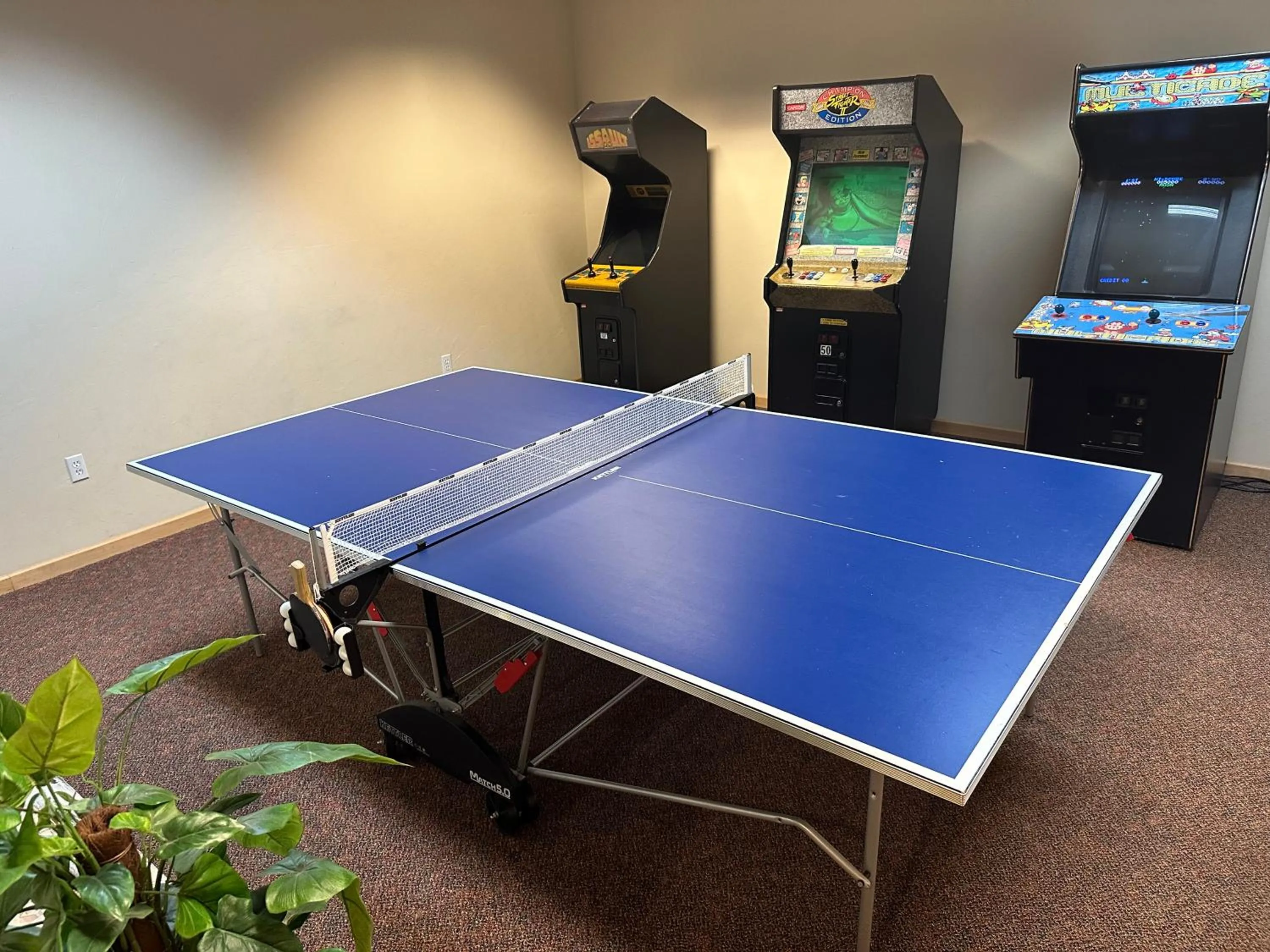 Game Room in Birchwood Lodge