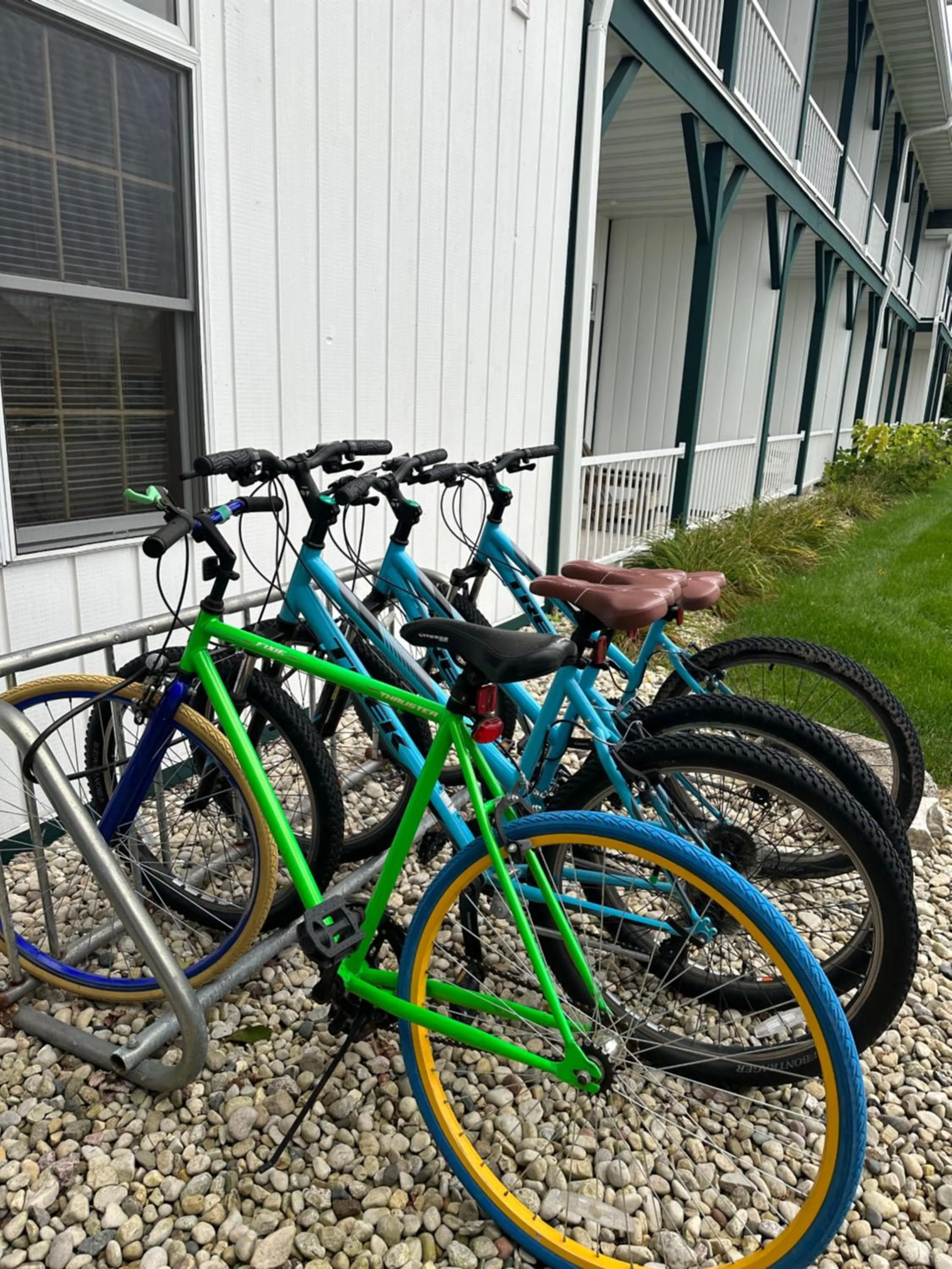 Cycling in Birchwood Lodge