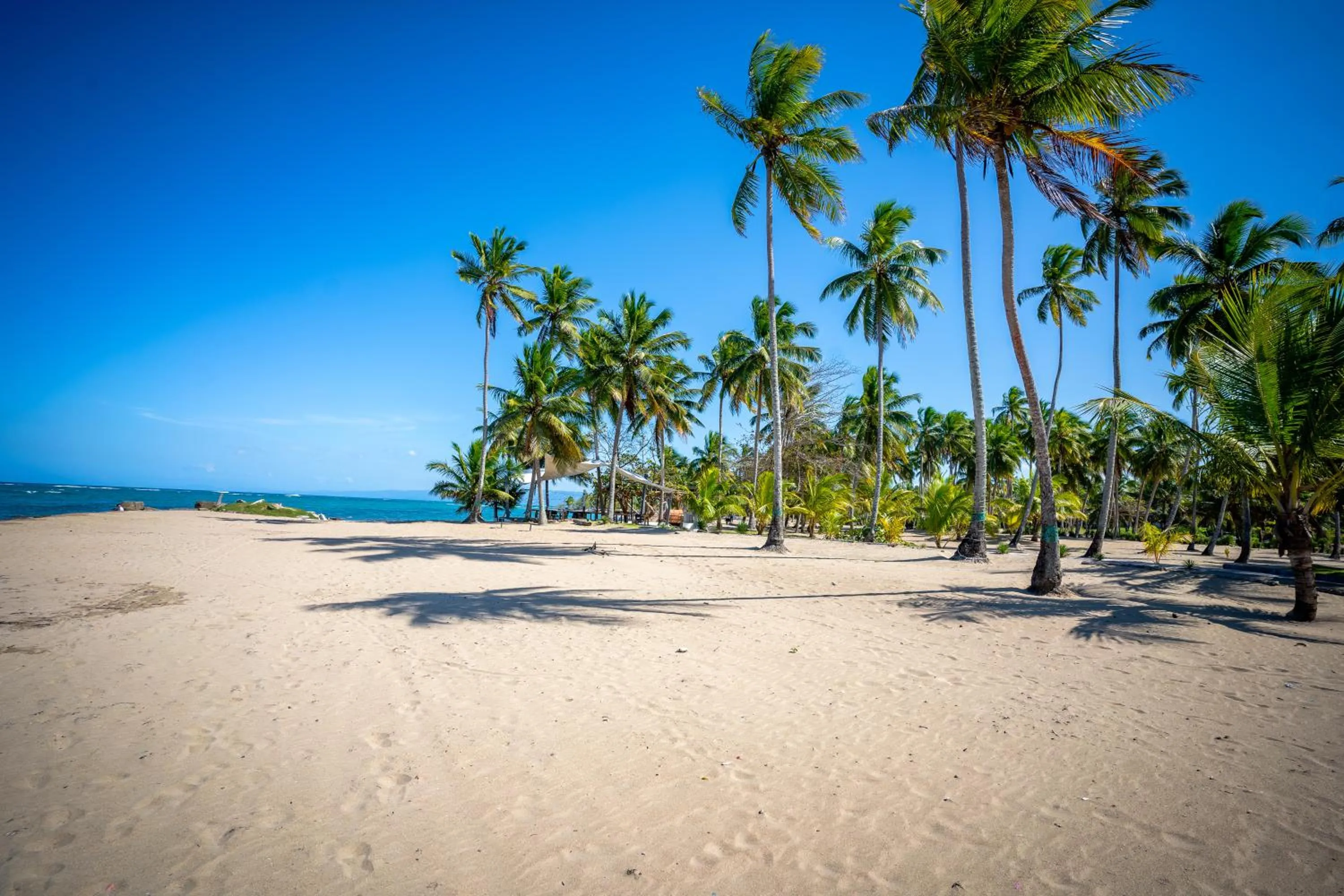 Double Room with Sea View - single occupancy in The Palm Bay Club Lodge