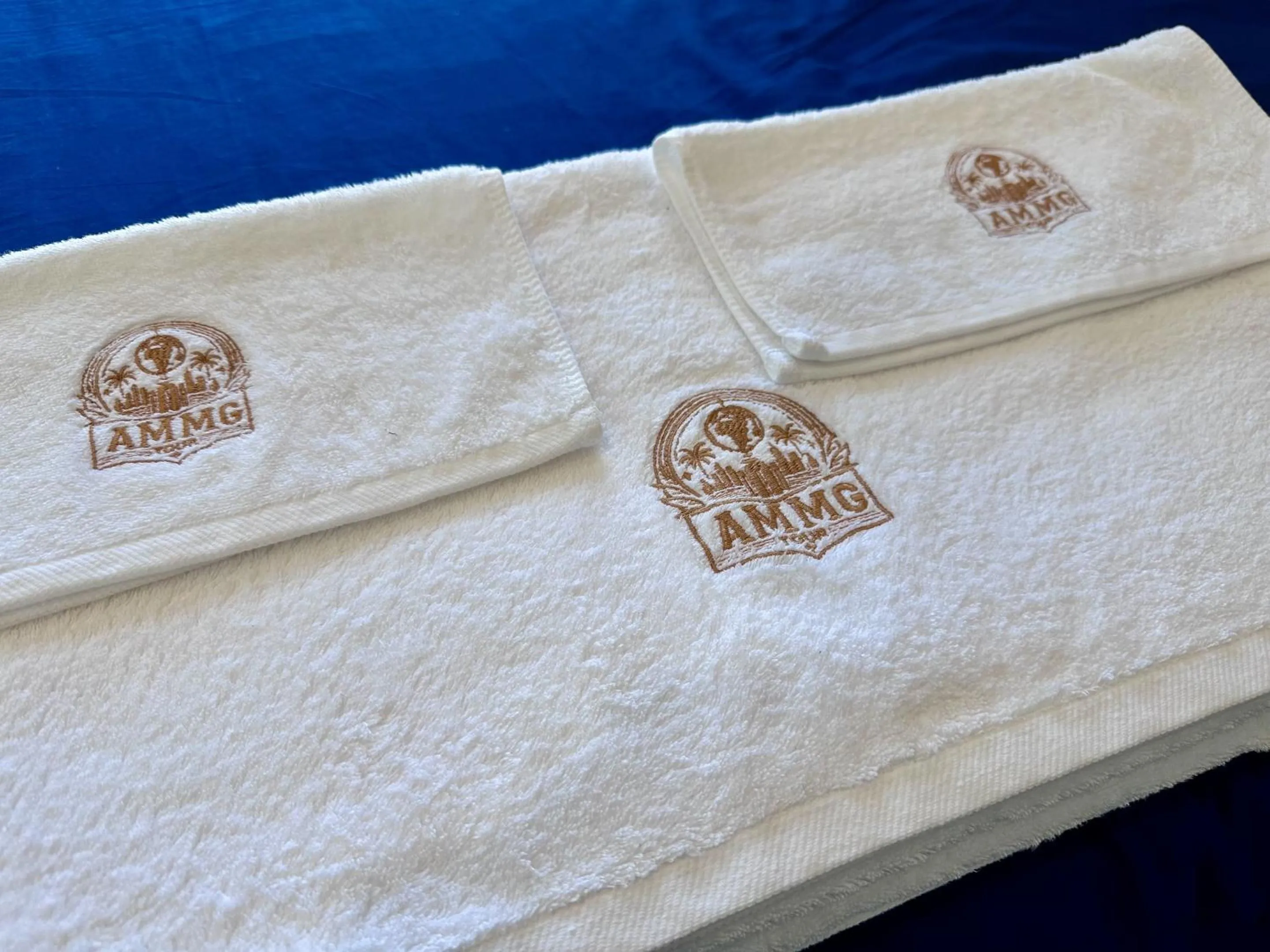 laundry in Appartement Luxe Vue sur Mer Calais Plage