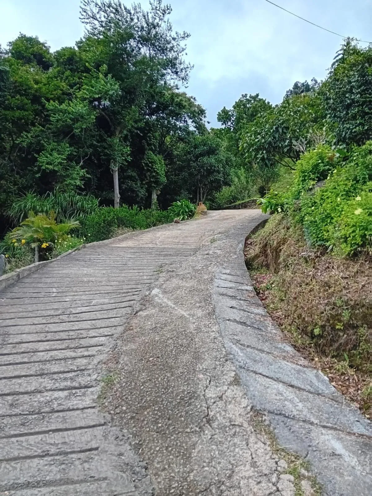 Garden in Knuckles Range Bungalow