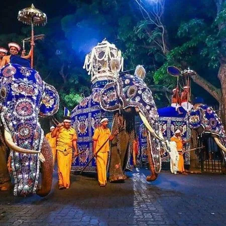 Entertainment in Knuckles Range Bungalow