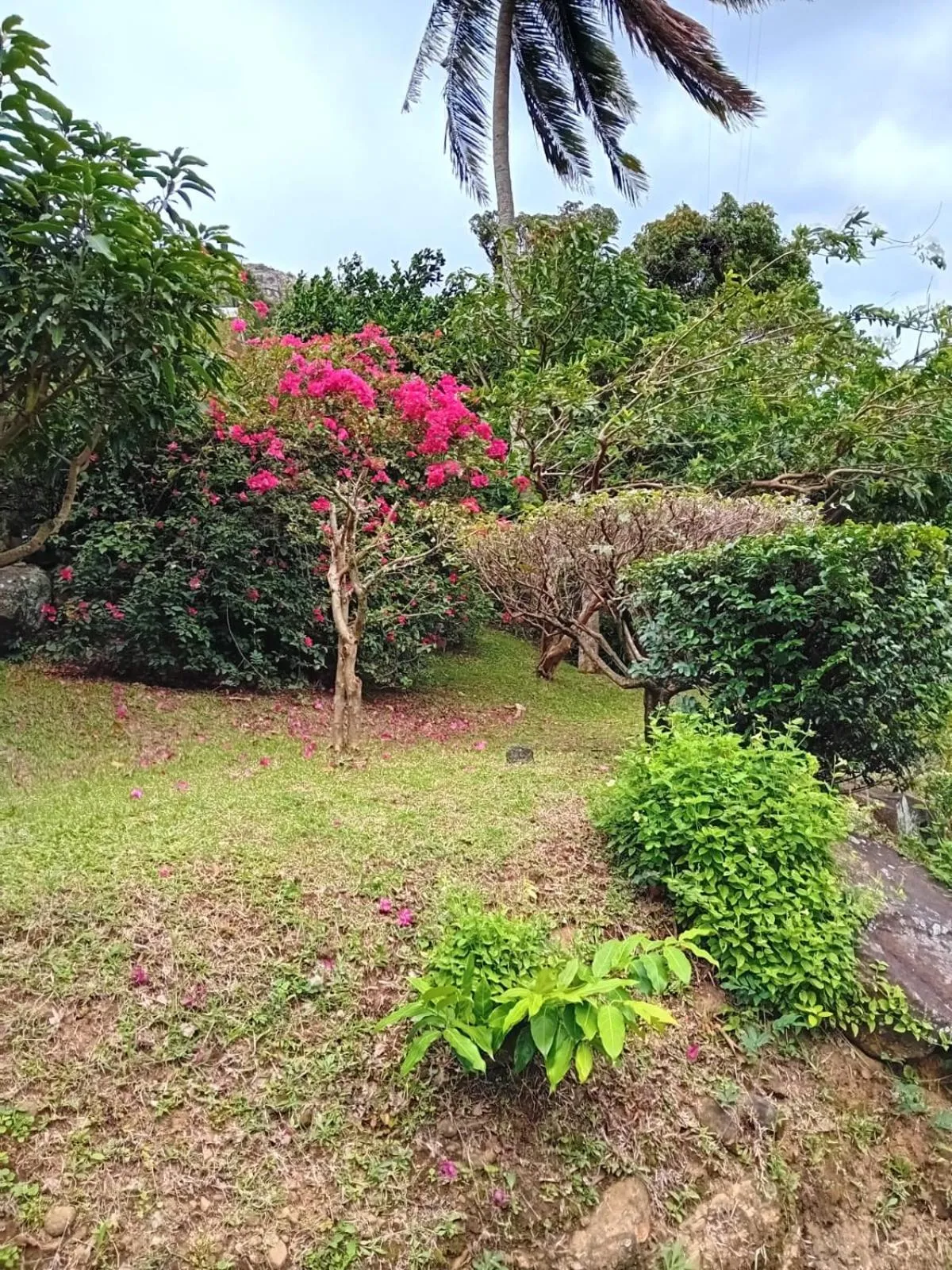 Garden in Knuckles Range Bungalow
