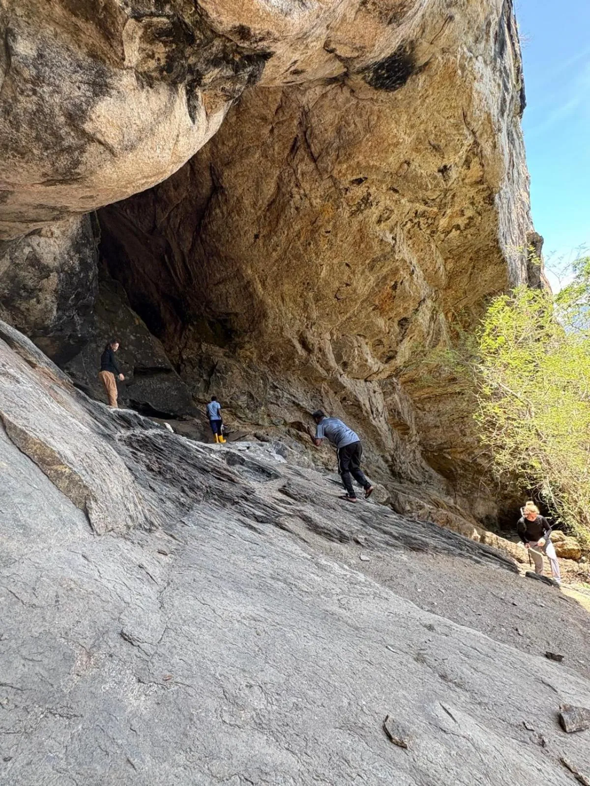 Hiking in Knuckles Range Bungalow