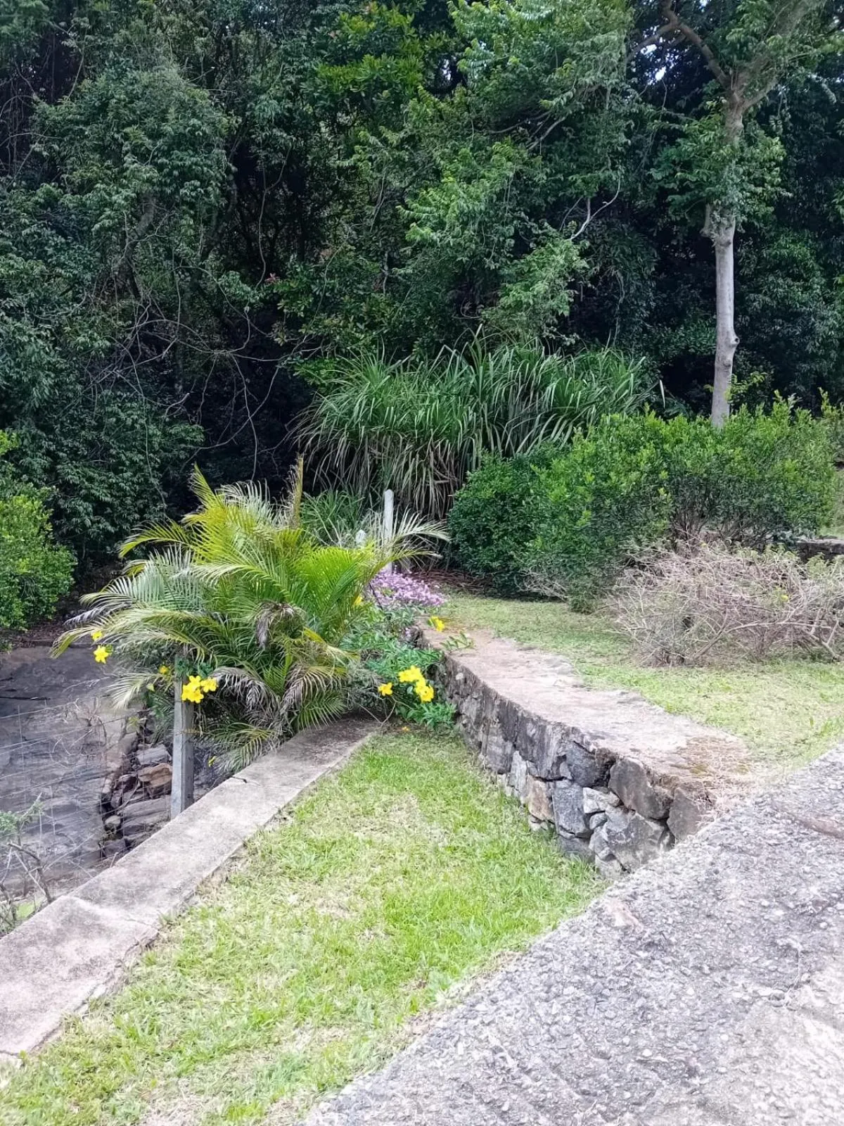 Garden view in Knuckles Range Bungalow