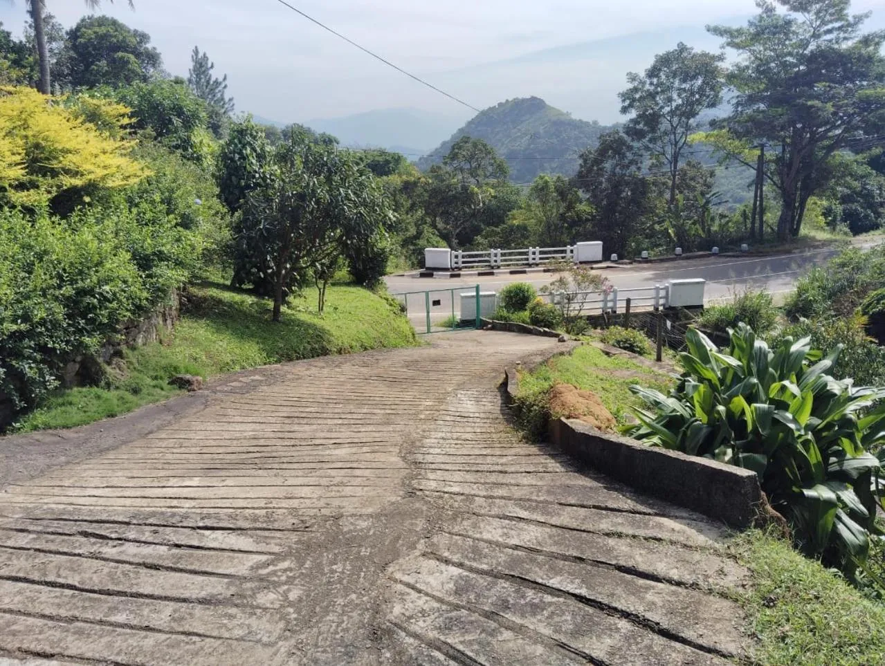 Neighbourhood in Knuckles Range Bungalow