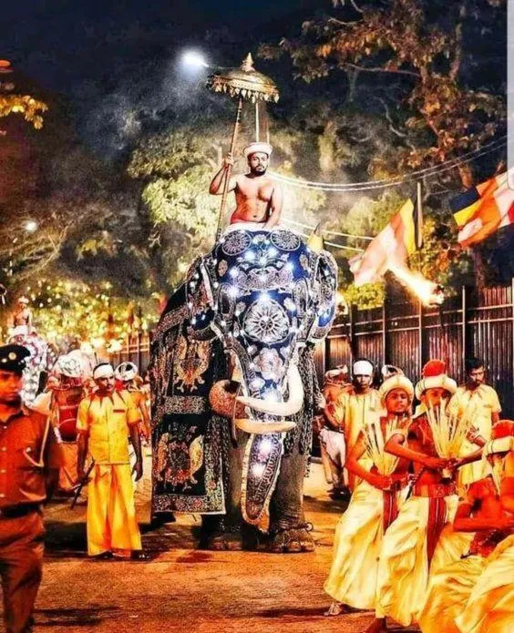 Entertainment in Knuckles Range Bungalow