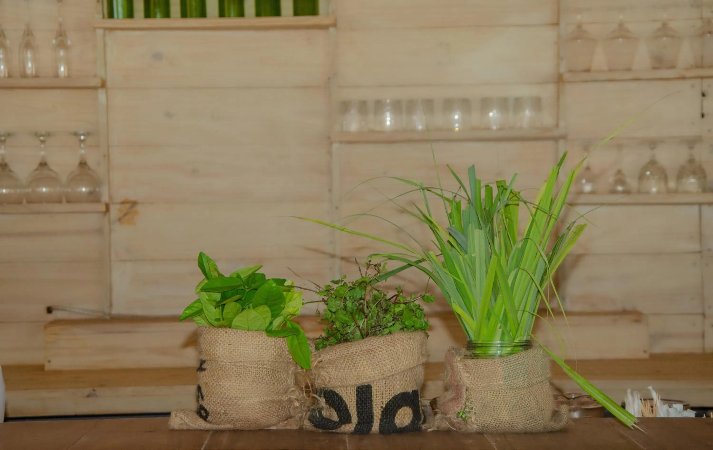 Lounge or bar in Cristal Resort