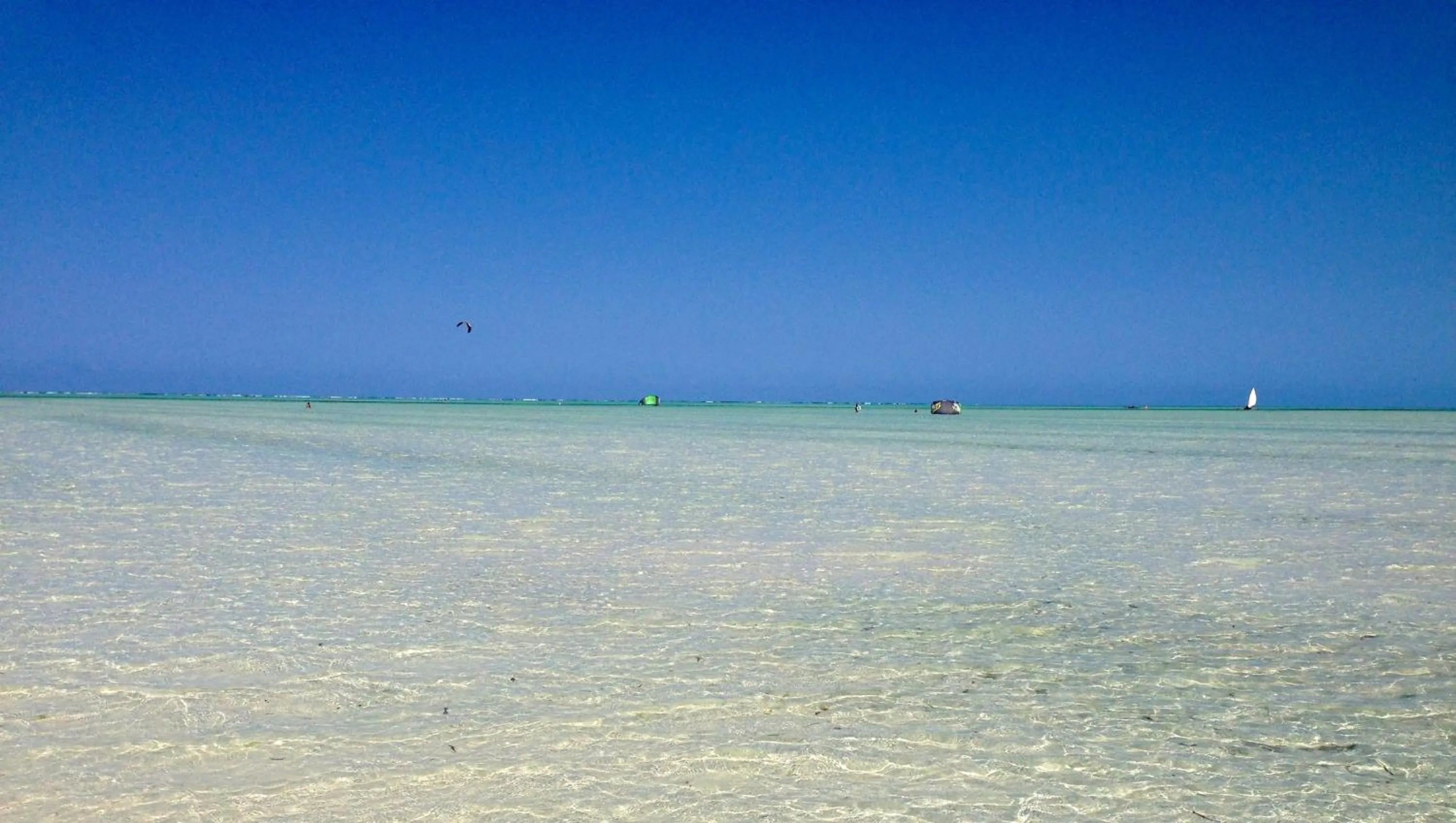 Day in Cristal Resort