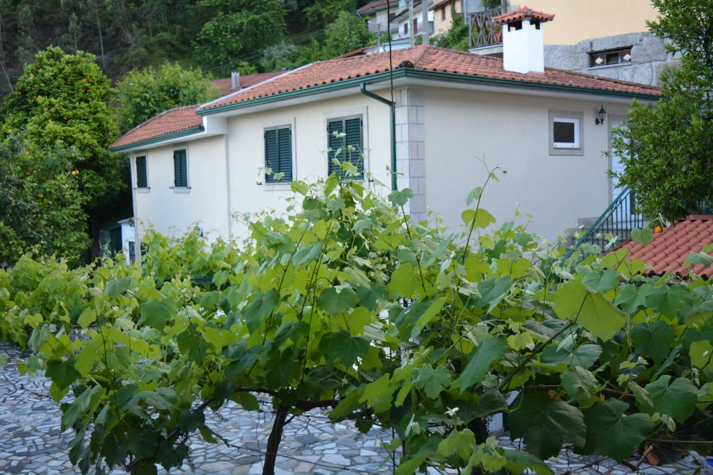 Property building in Casa Dos Santos Alojamento - Guest House