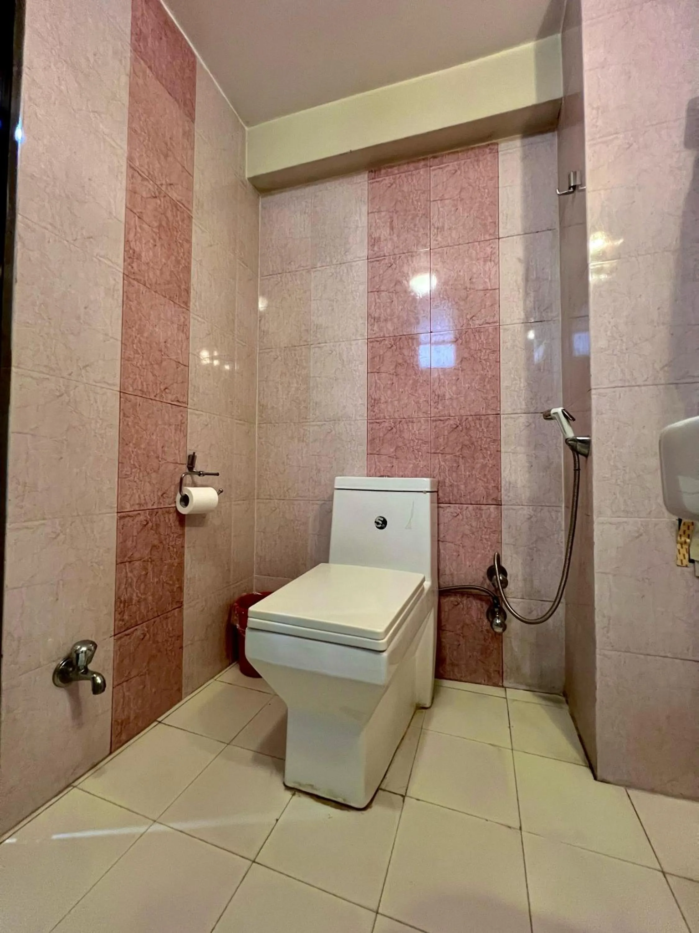 Shower in Taleju Grand Hotel