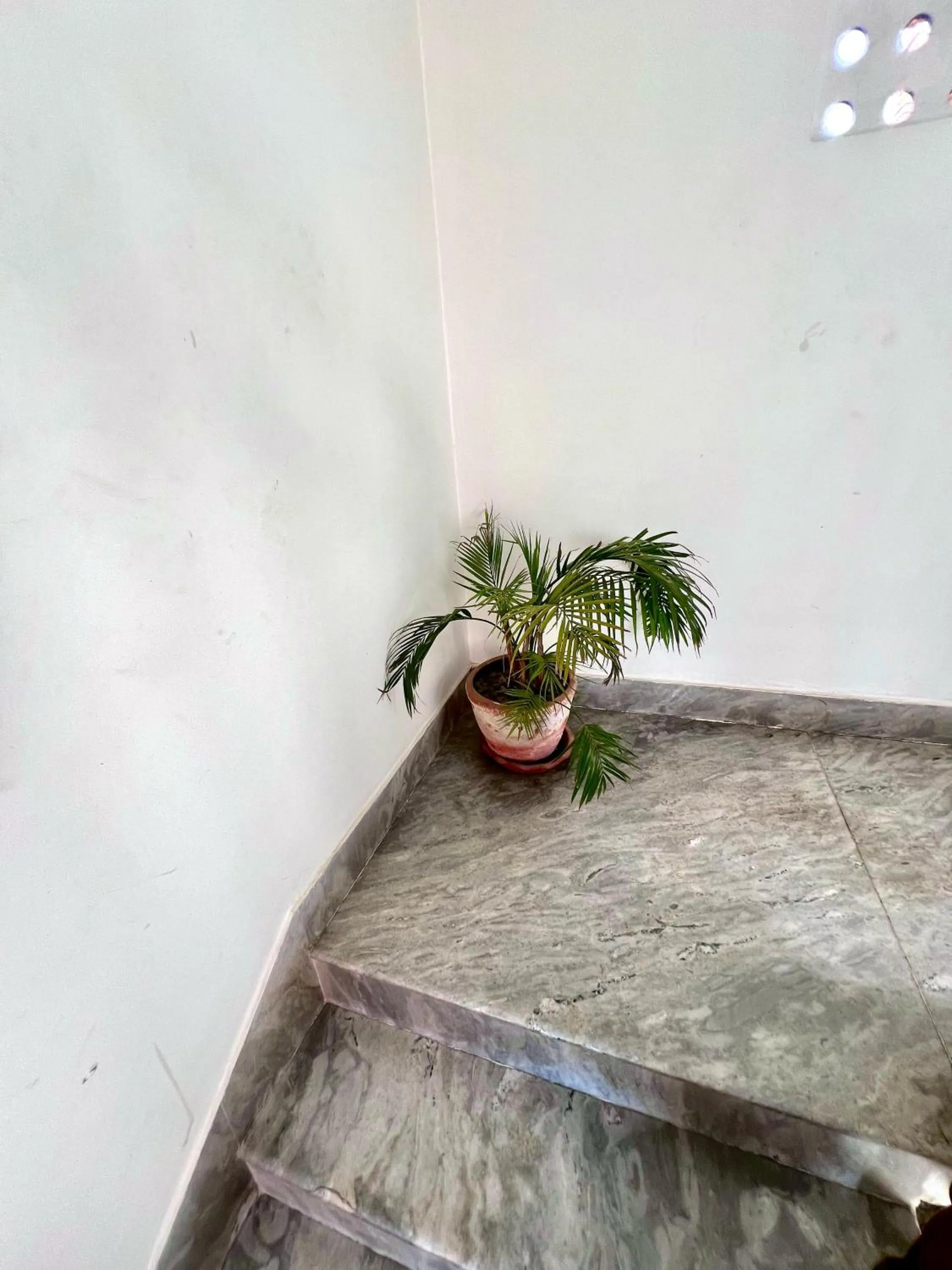 Restaurant/places to eat in Taleju Grand Hotel