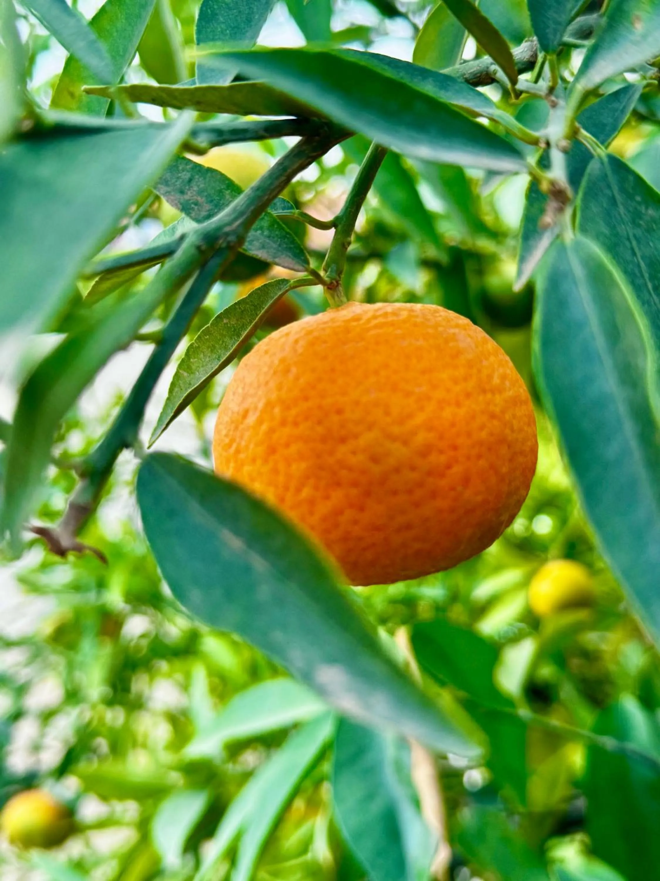 Day in Whisper Hotel