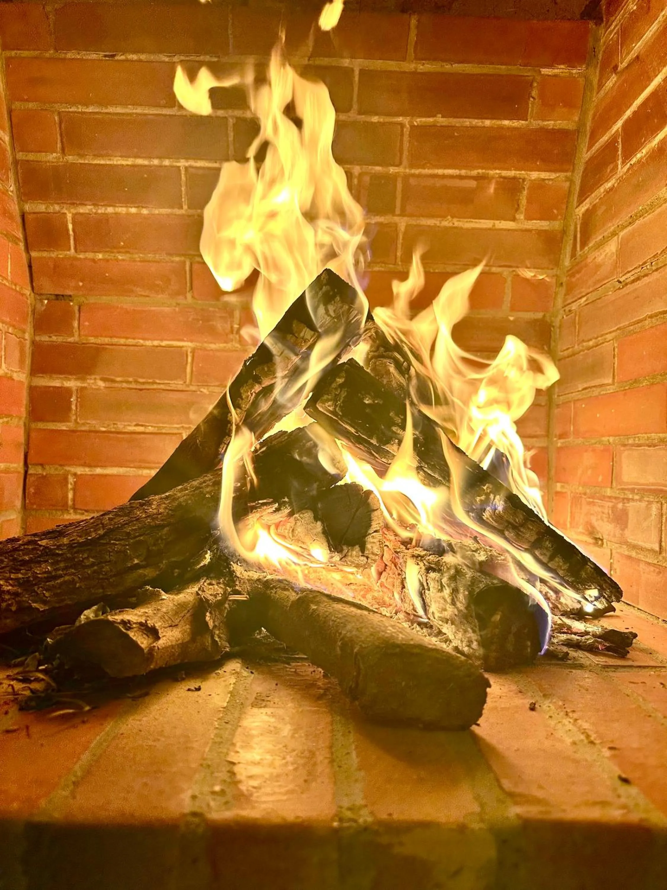 fireplace in Whisper Hotel