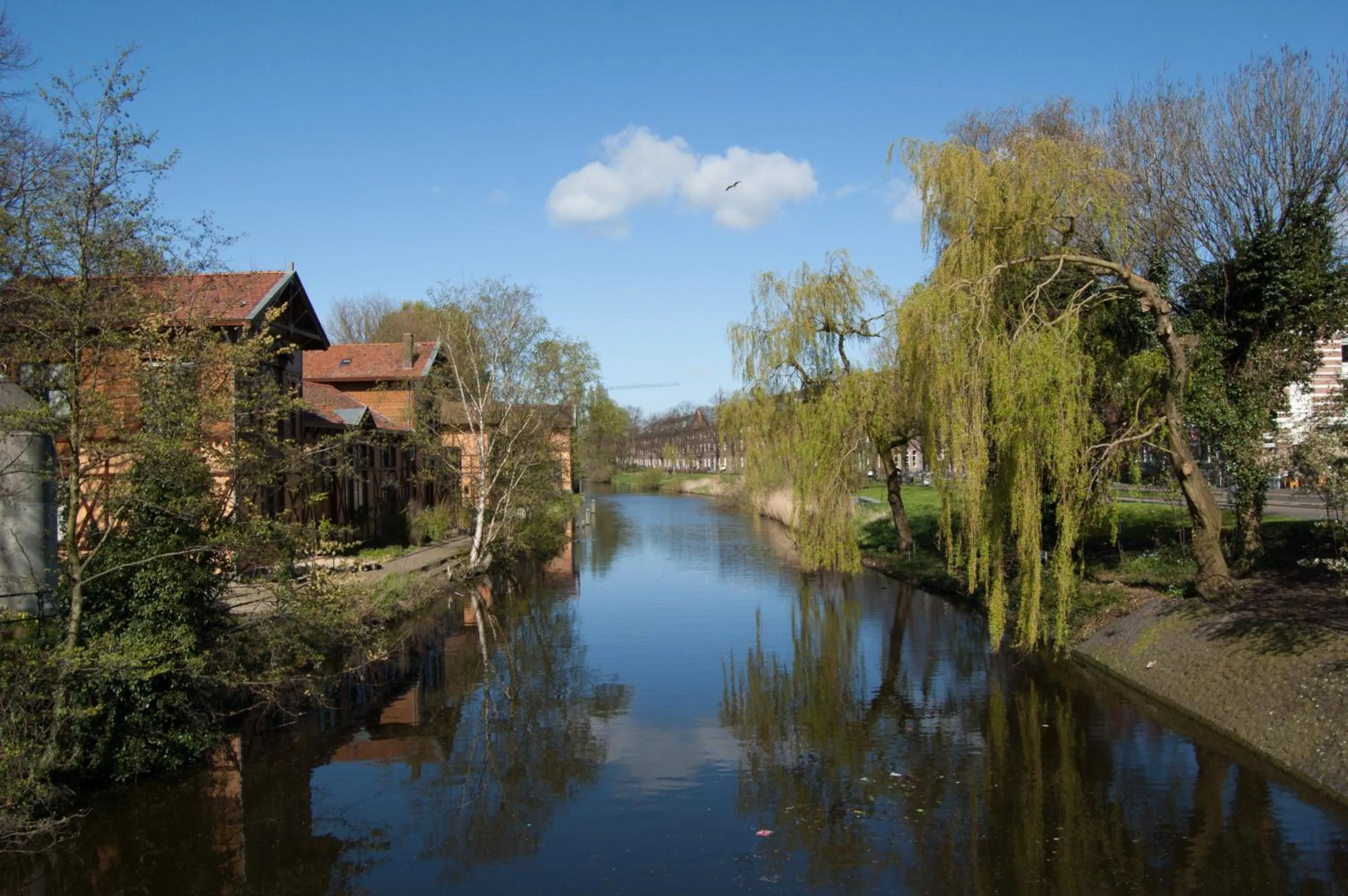 View (from property/room) in Hotel Park Plantage