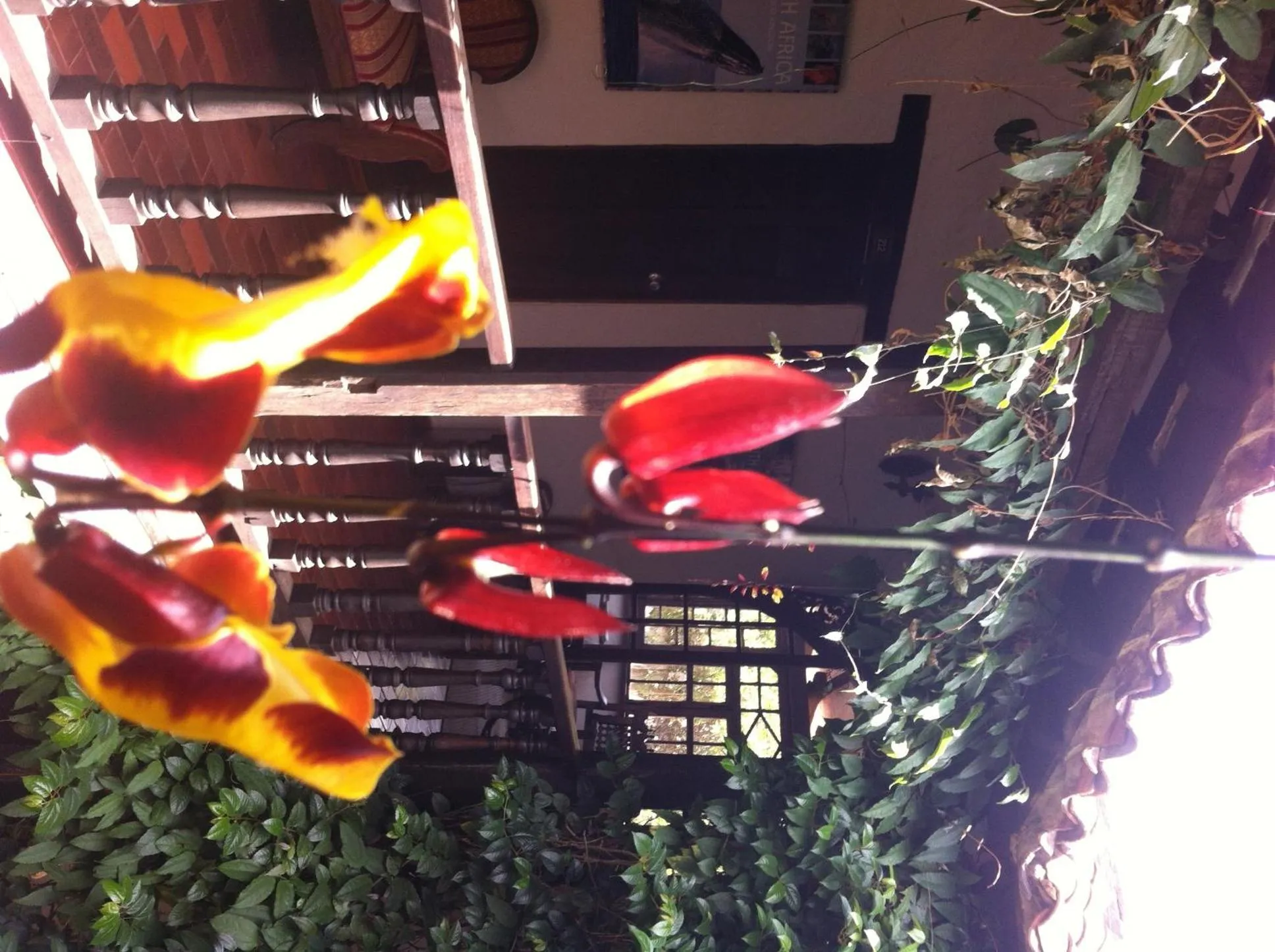 Day in Hotel Los Frayles