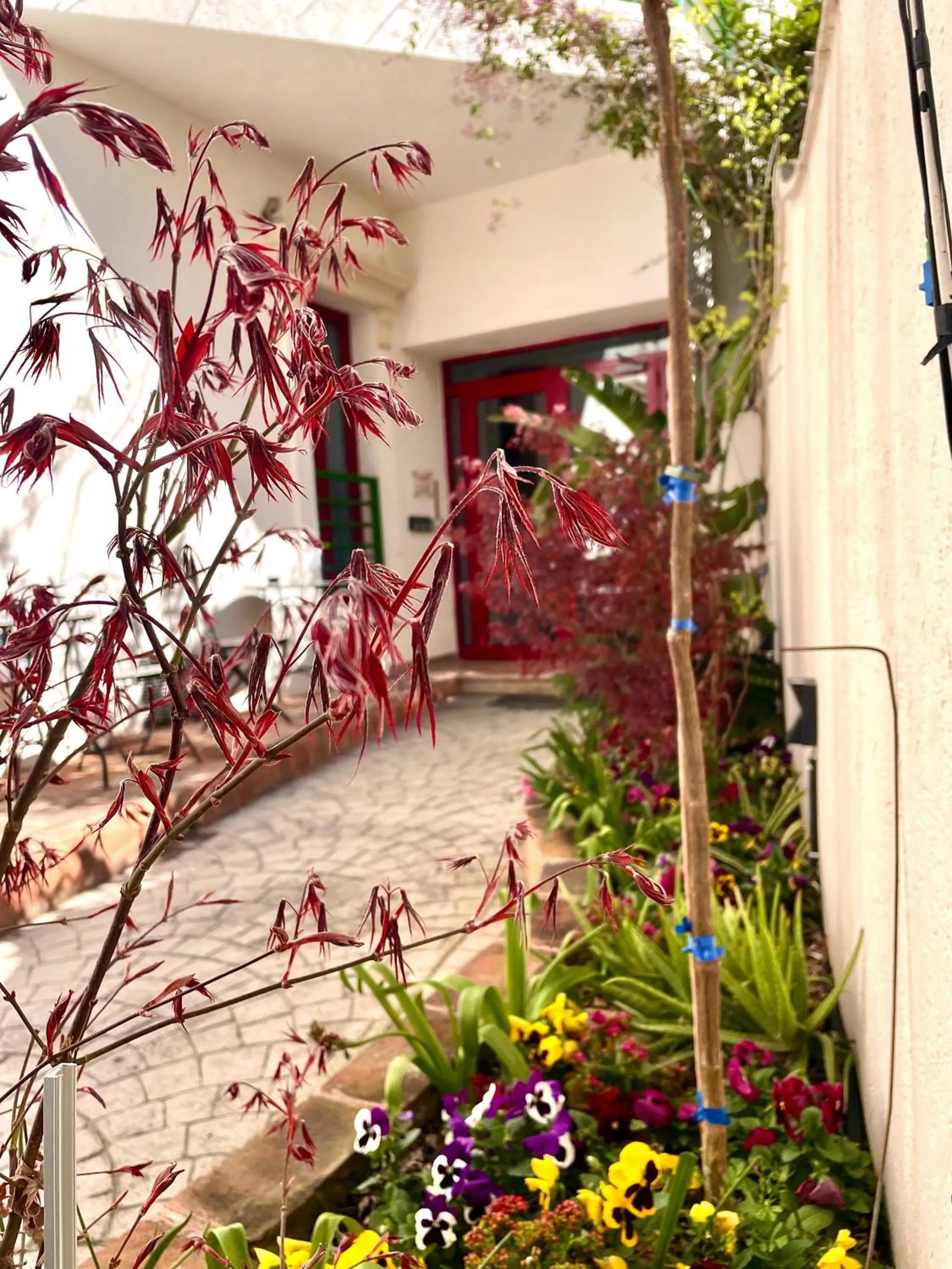 Property building in City 5 Hotel