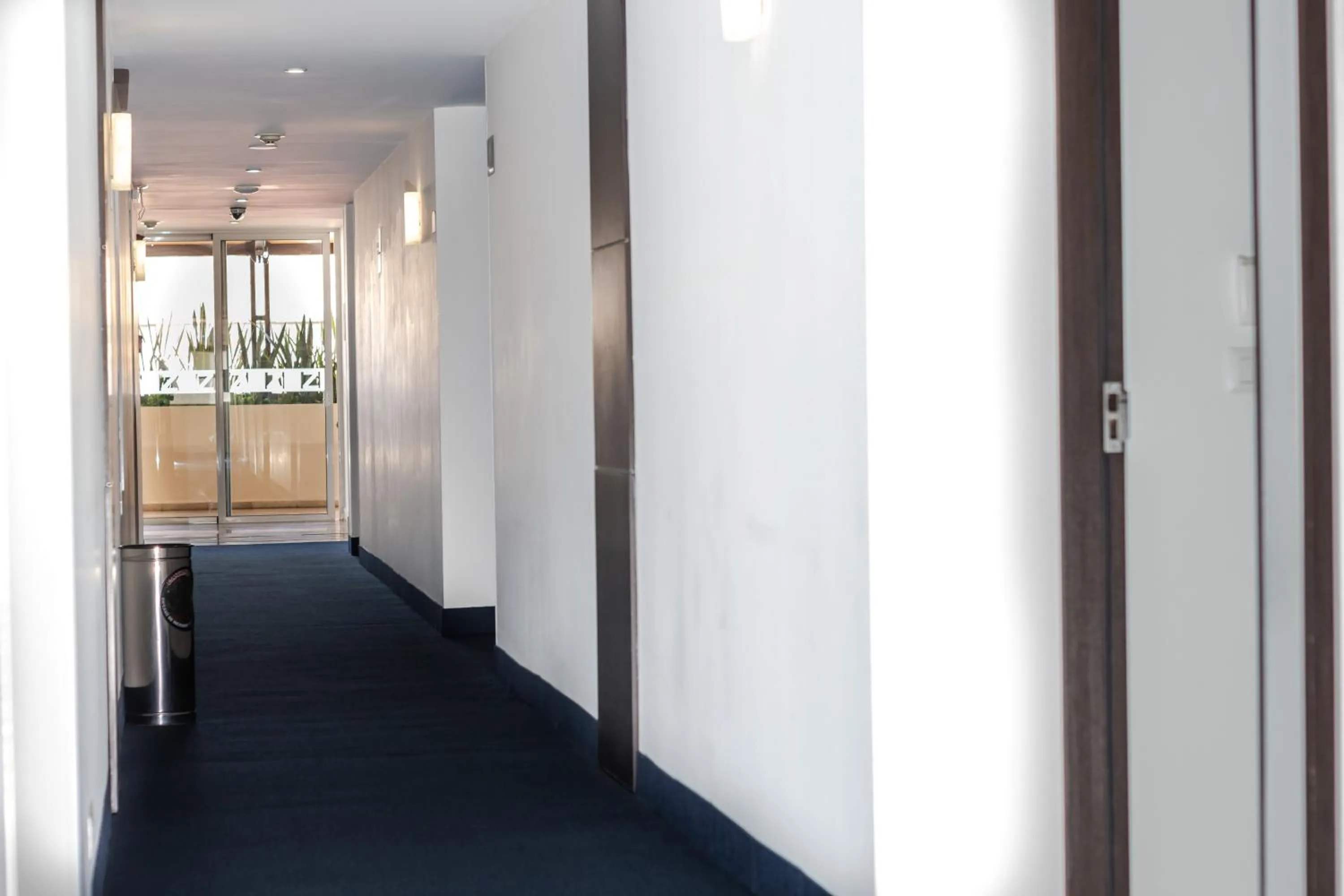 Property building in Hotel Zenith