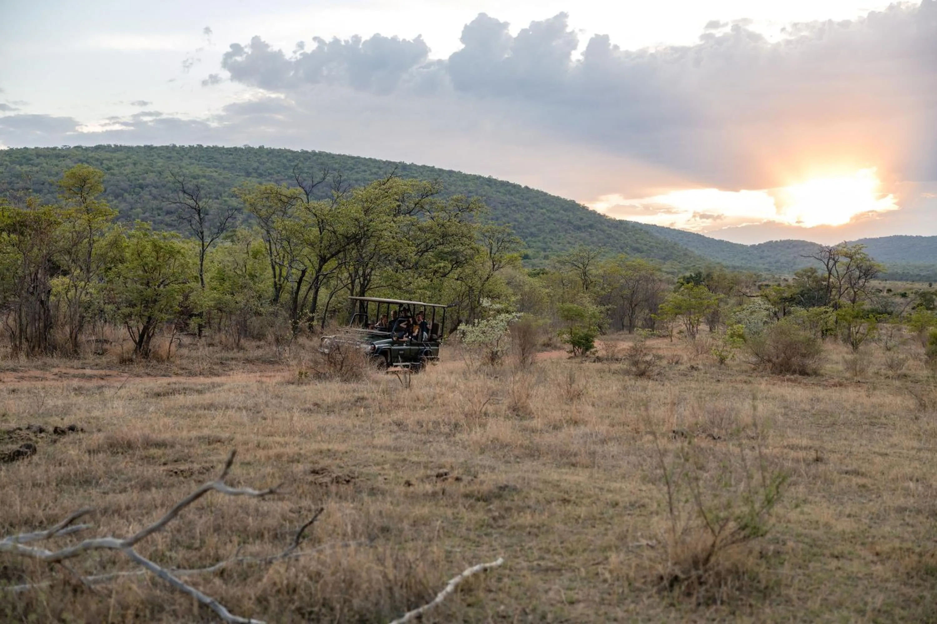 Natural landscape in Makweti Safari Lodge