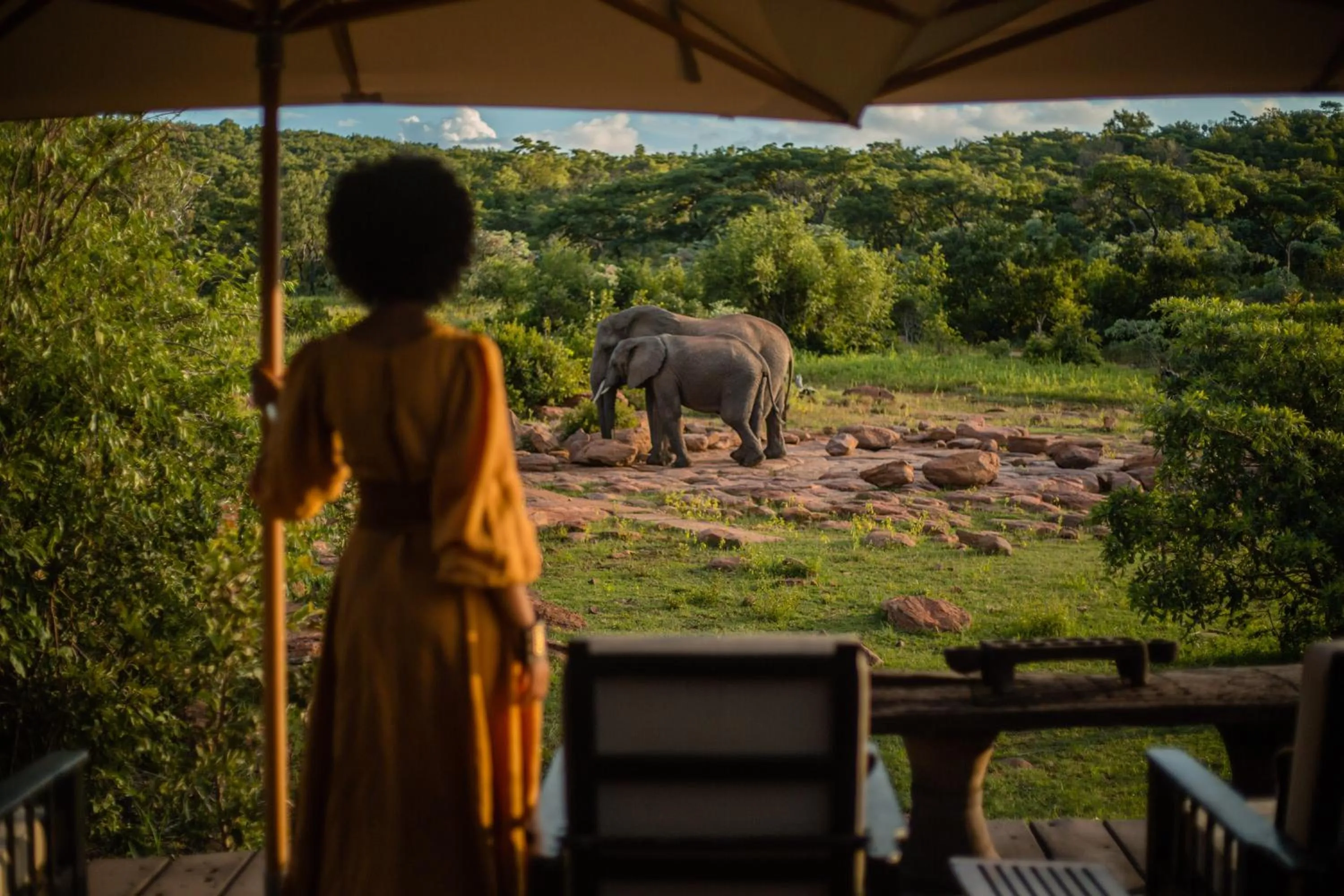 Day in Makweti Safari Lodge