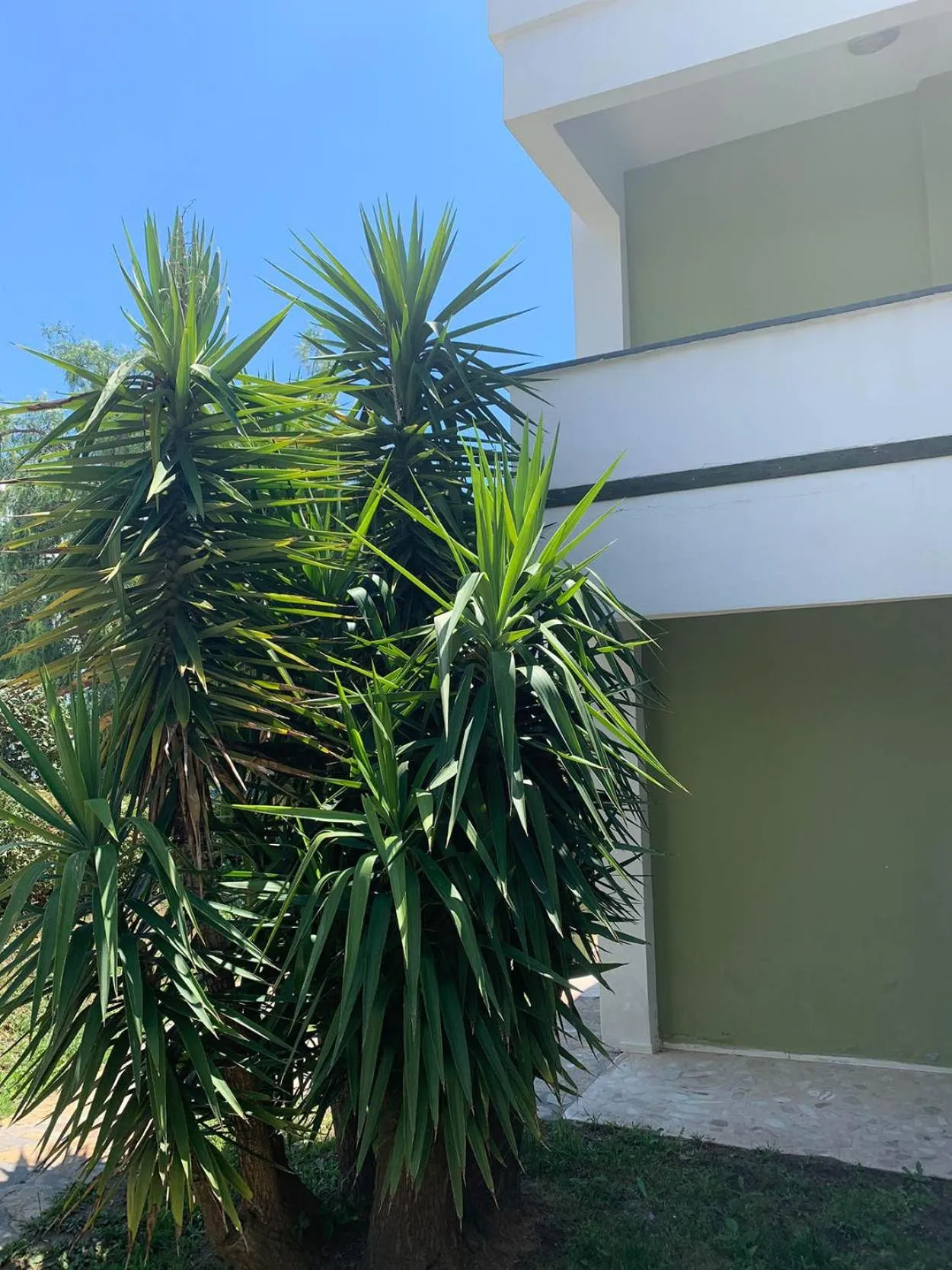 Club Afrodit Tatil Köyü