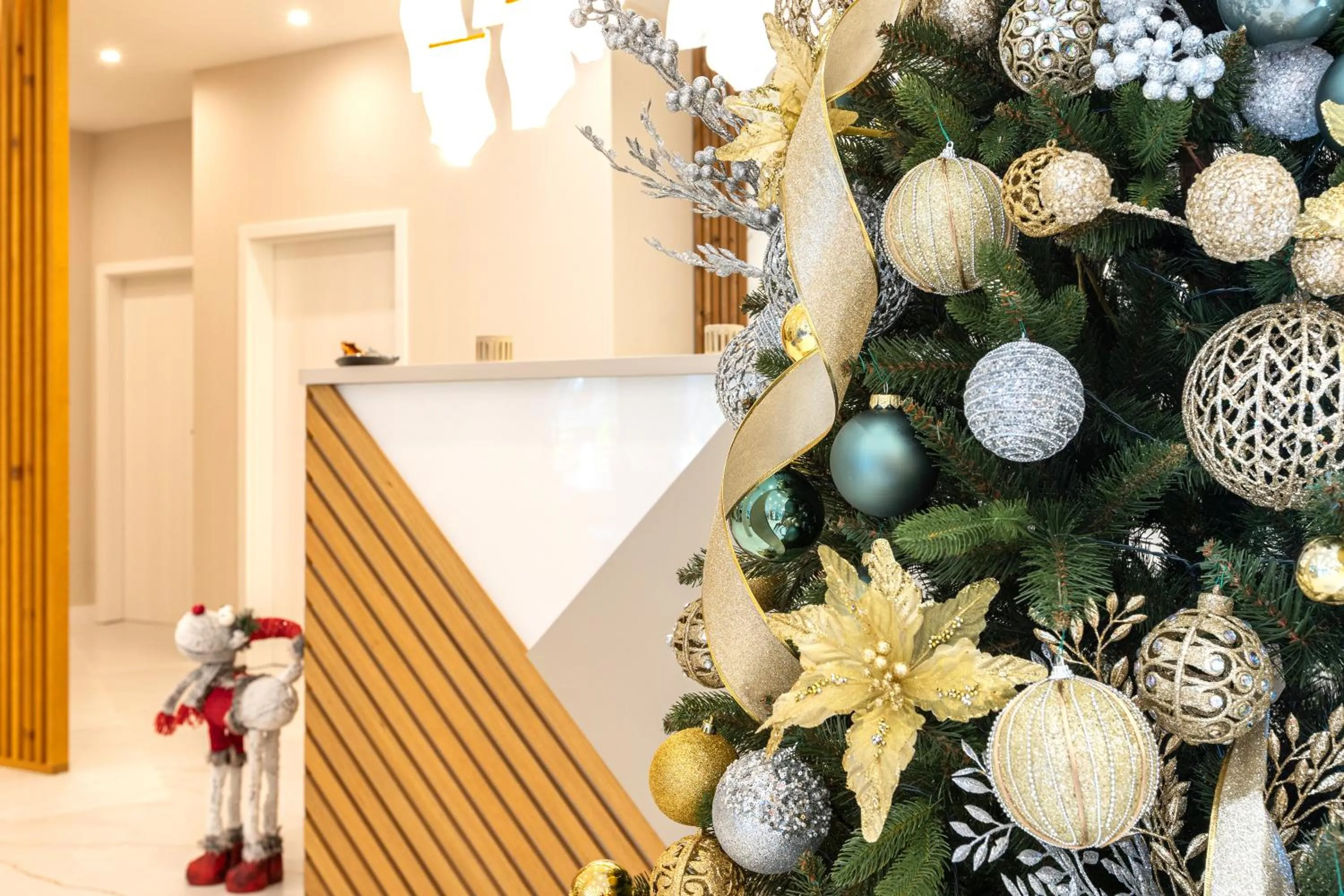 Lobby or reception in Pirin Sense Apartment Complex